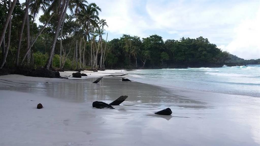 ソロモン ウラワ島が浦和区に秋波 共通点はサッカー さいたま市 産経ニュース