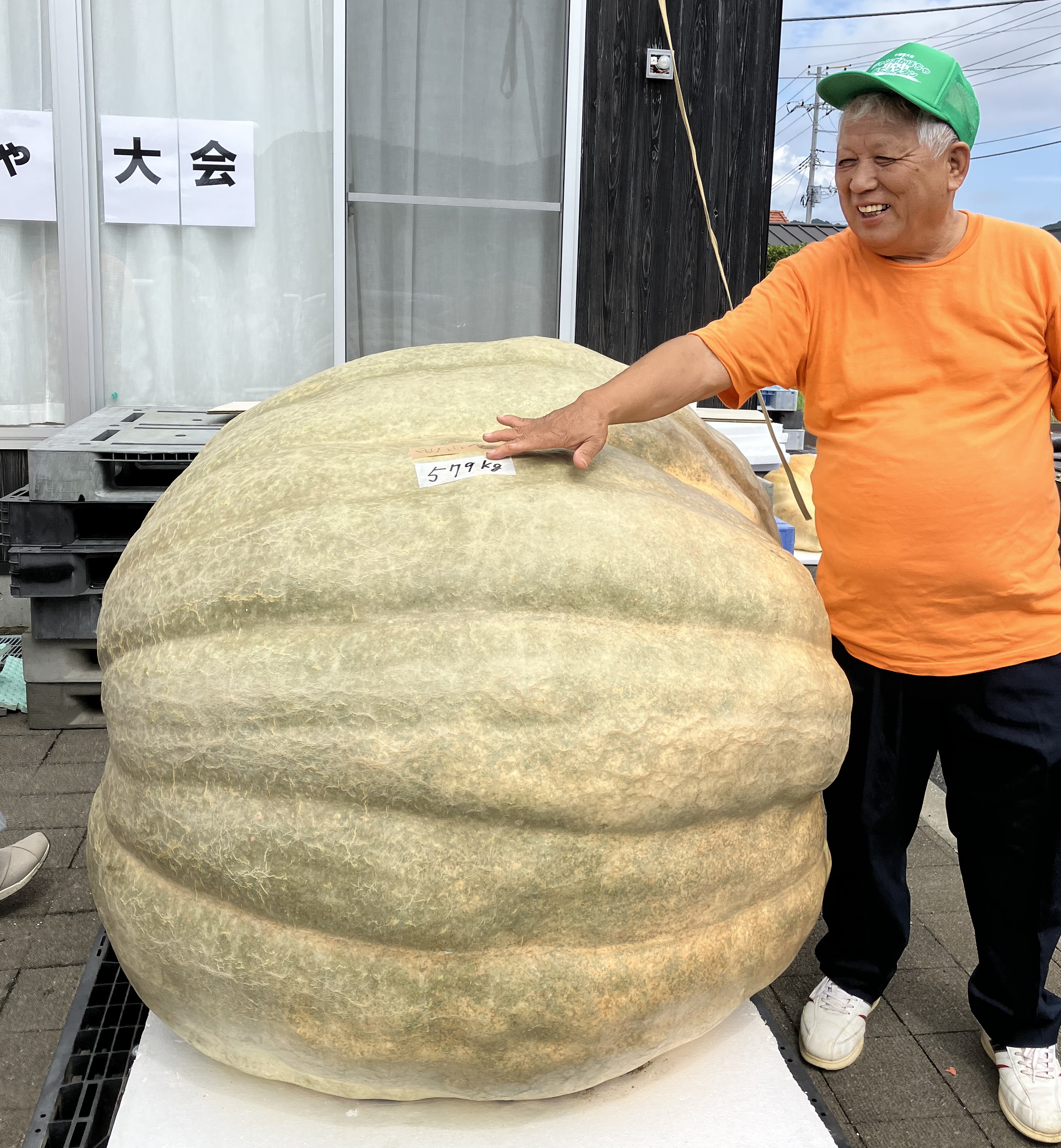 日本新の579キロ 千葉・鴨川のジャンボかぼちゃ大会 - 産経ニュース