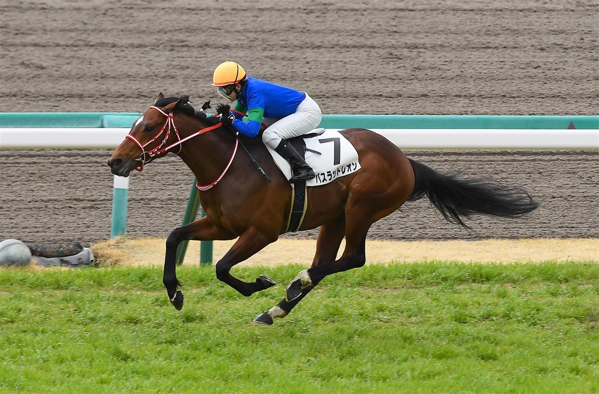 JBCスプリント】バスラットレオンは古川奈穂騎手とのコンビで参戦 - サンスポZBAT!