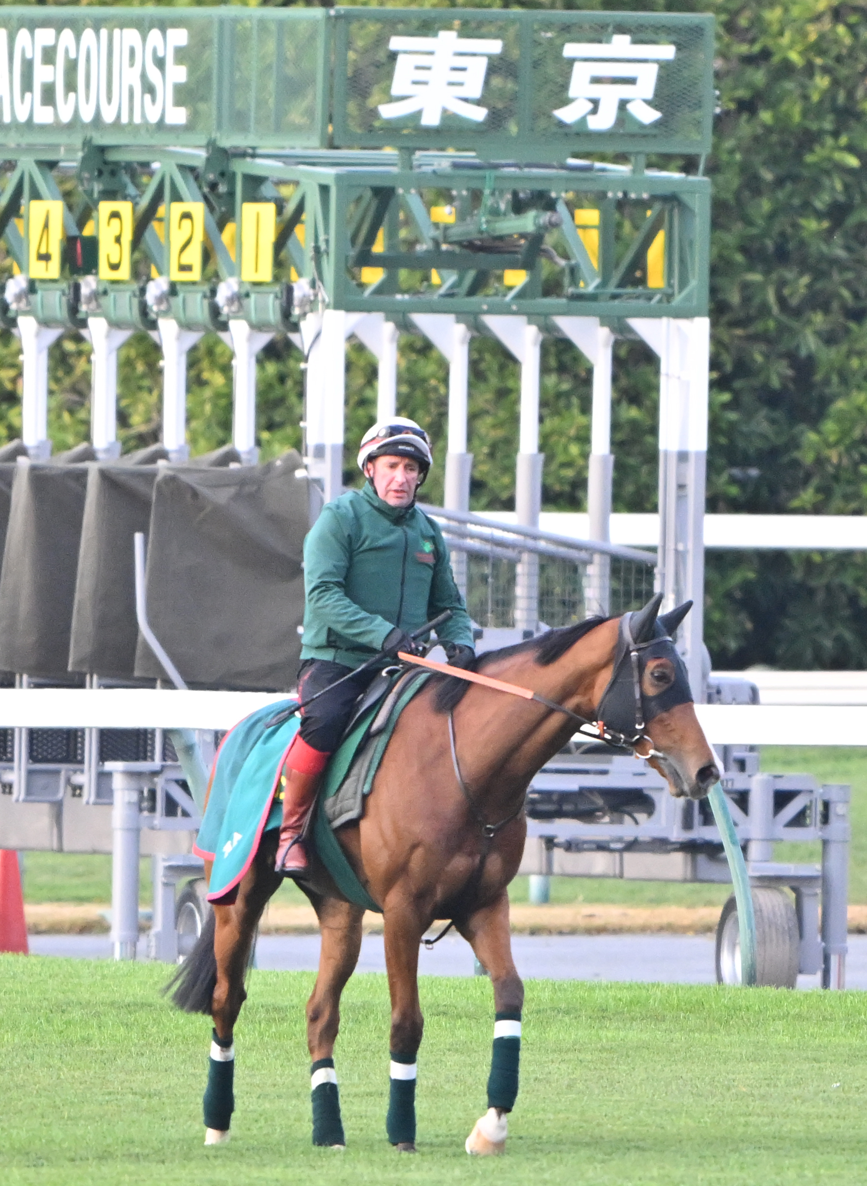 ジャパンC 前日調整】カランダガンはダートコースでキャンター ロベル