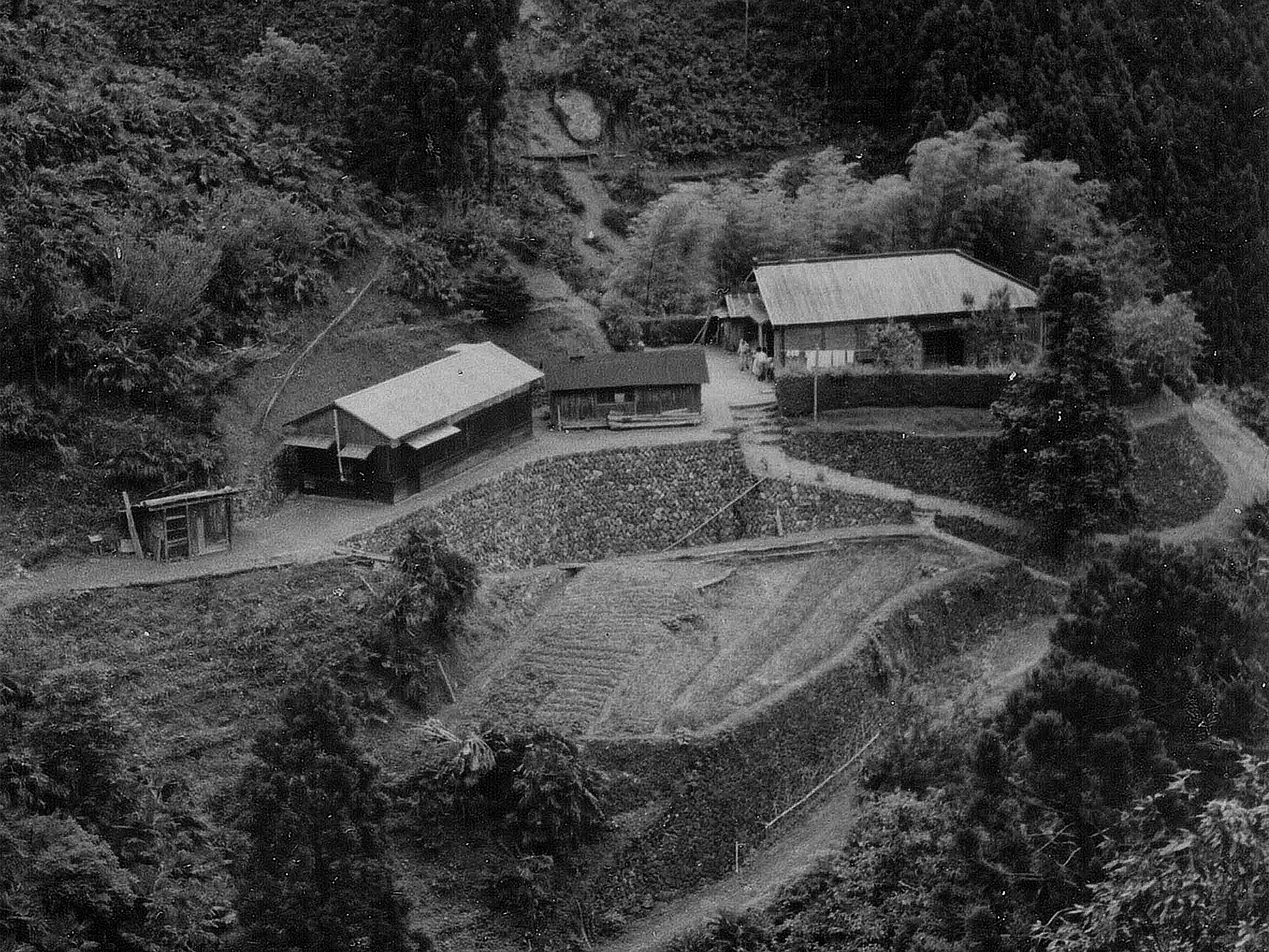 京大和歌山研究林が99年ぶり所有者に返還 大正時代から利用、今後も