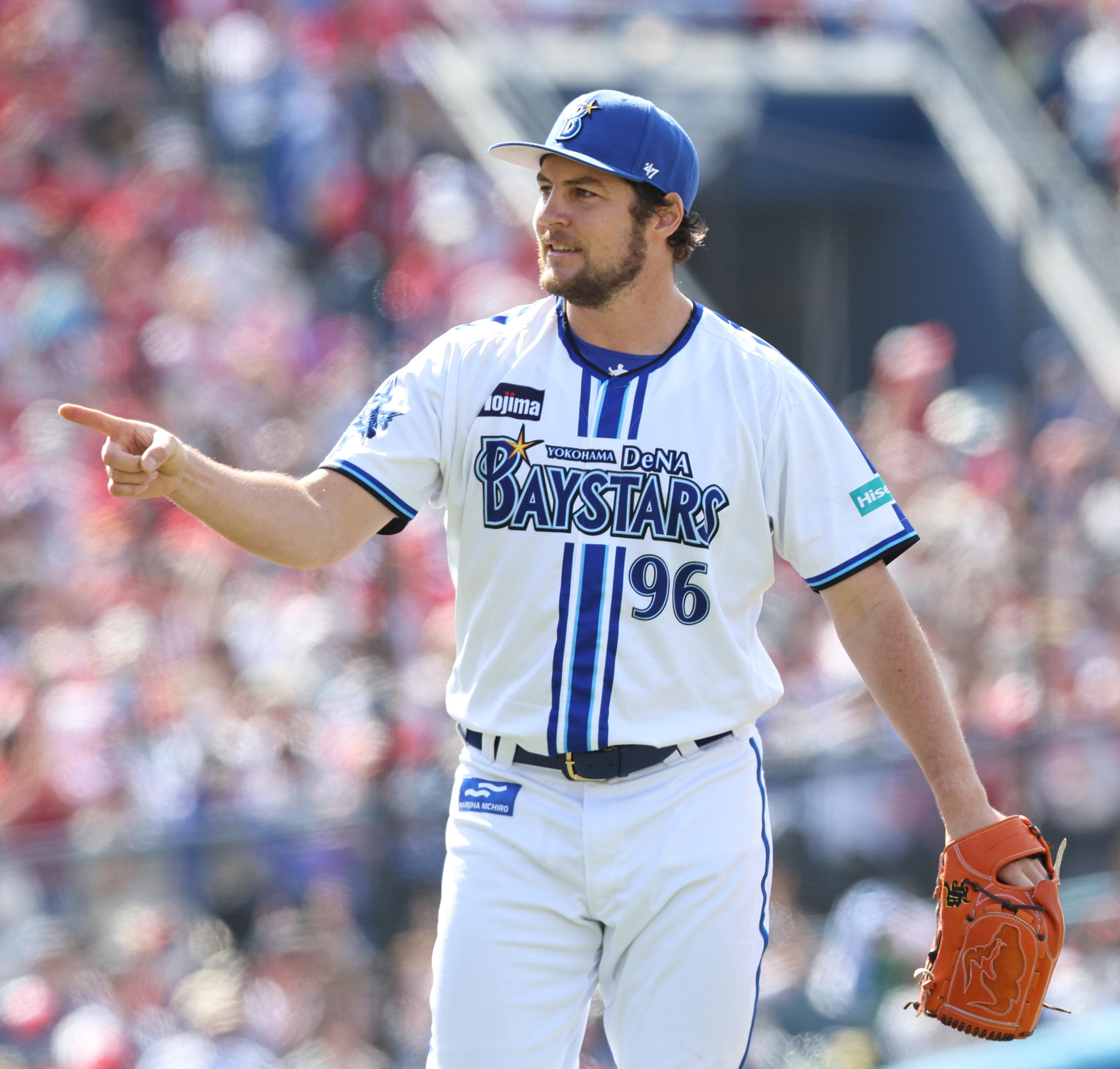 桜の花びら(厚みあり) 横浜DeNAベイスターズ 交流戦 トレバー