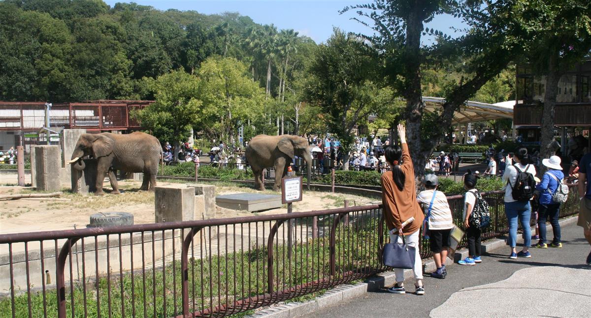 口コミで人気広がる動物園３ｄアートは驚きの迫力 産経ニュース