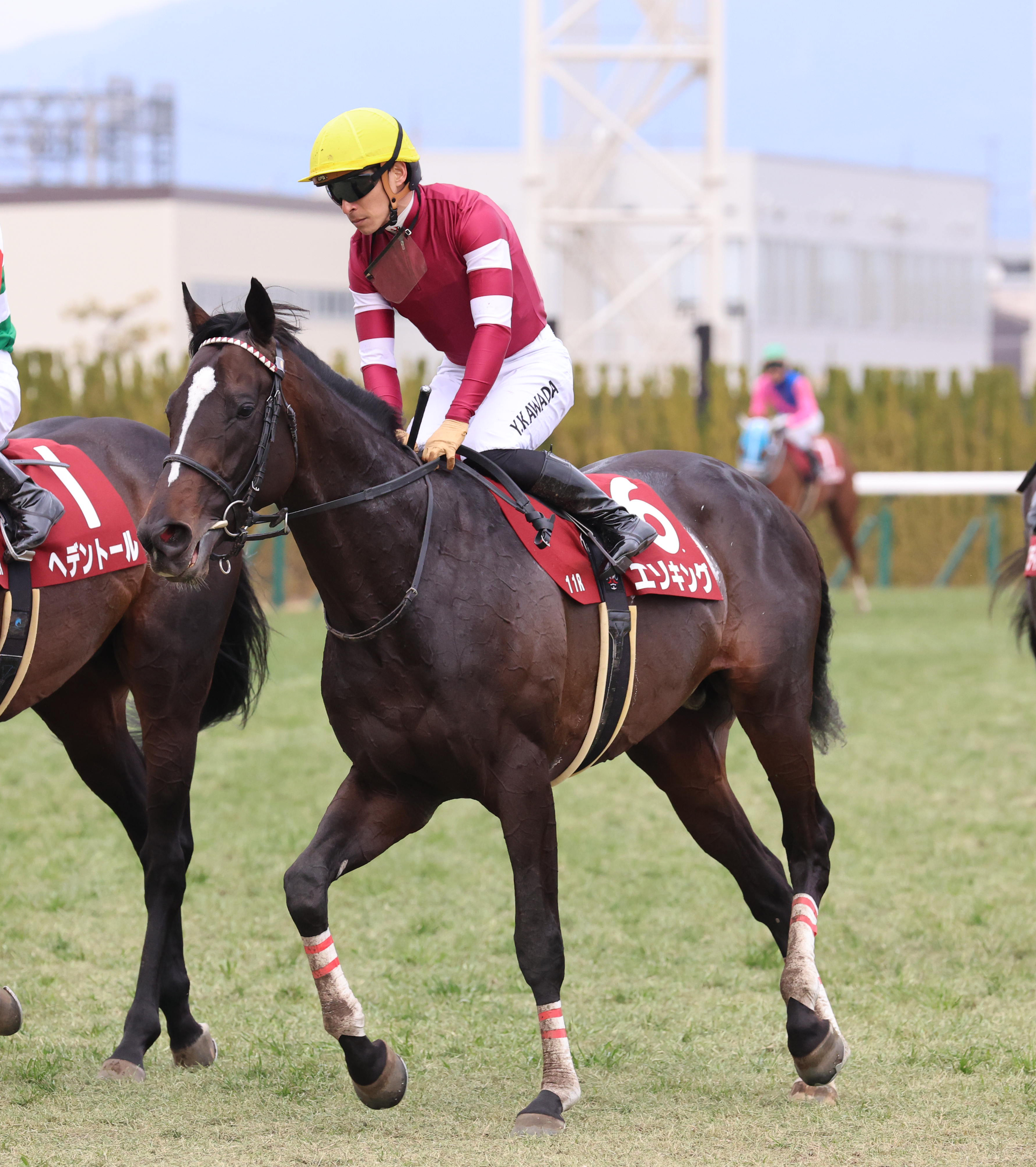 京都記念】1番人気エリキング半馬身差2着 川田将雅騎手「とてもいい 