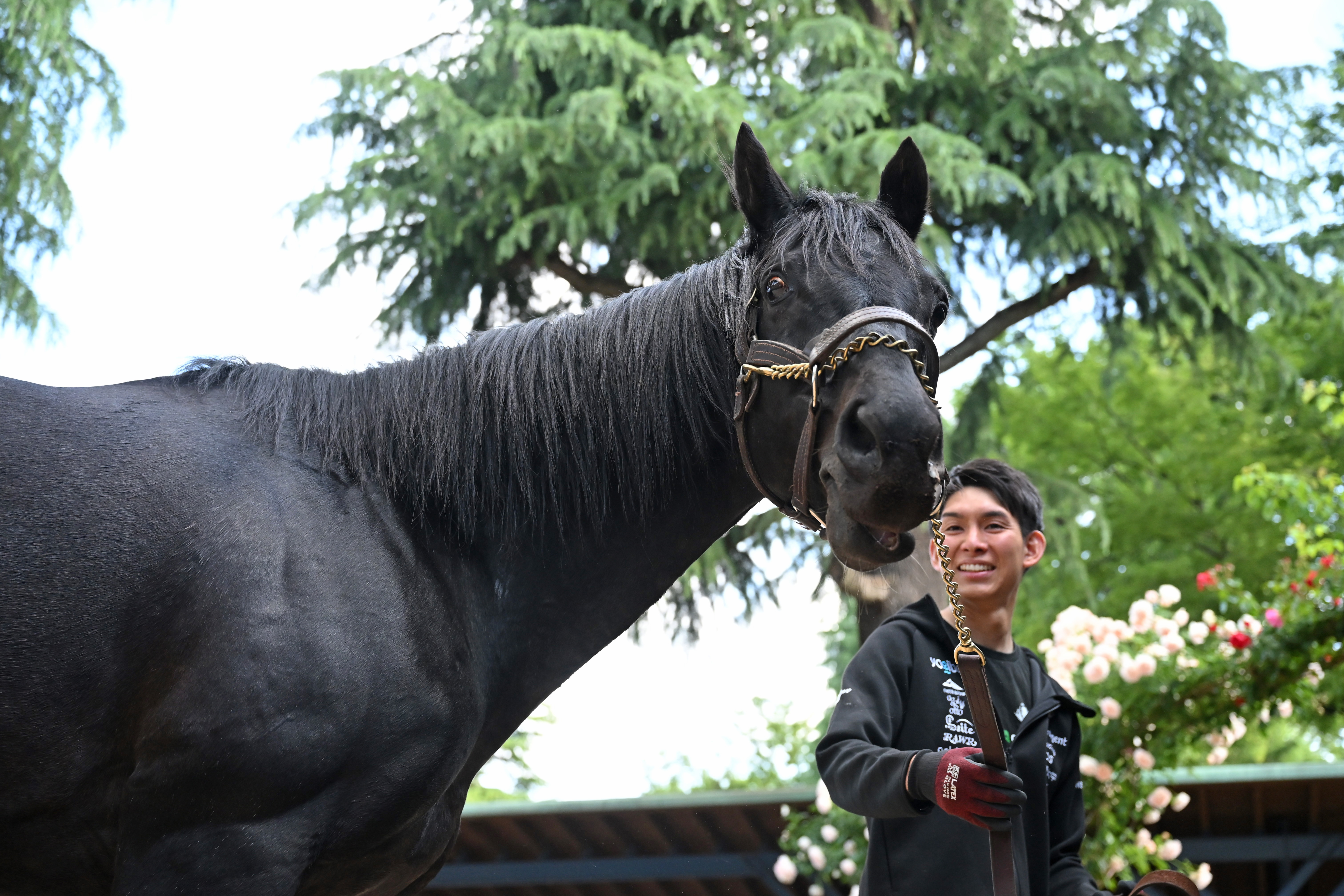 日本ダービー馬エイシンフラッシュがお披露目のため東京競馬場に到着