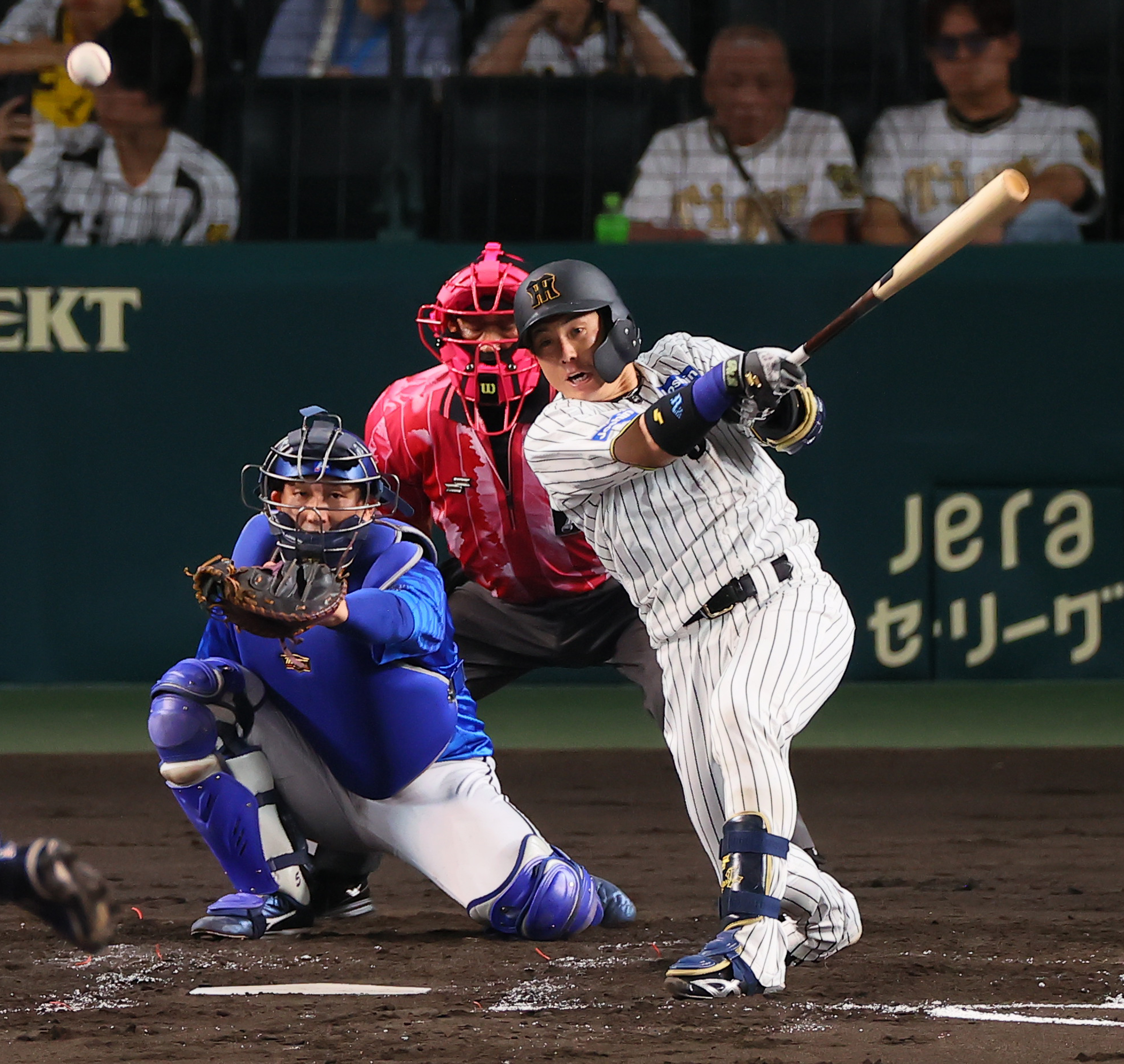 [希少] 阪神タイガース 梅野隆太郎捕手 実使用バット DO】[捕手]梅野 隆太郎【R】TBP01-T17 [タイガース] - C-labo