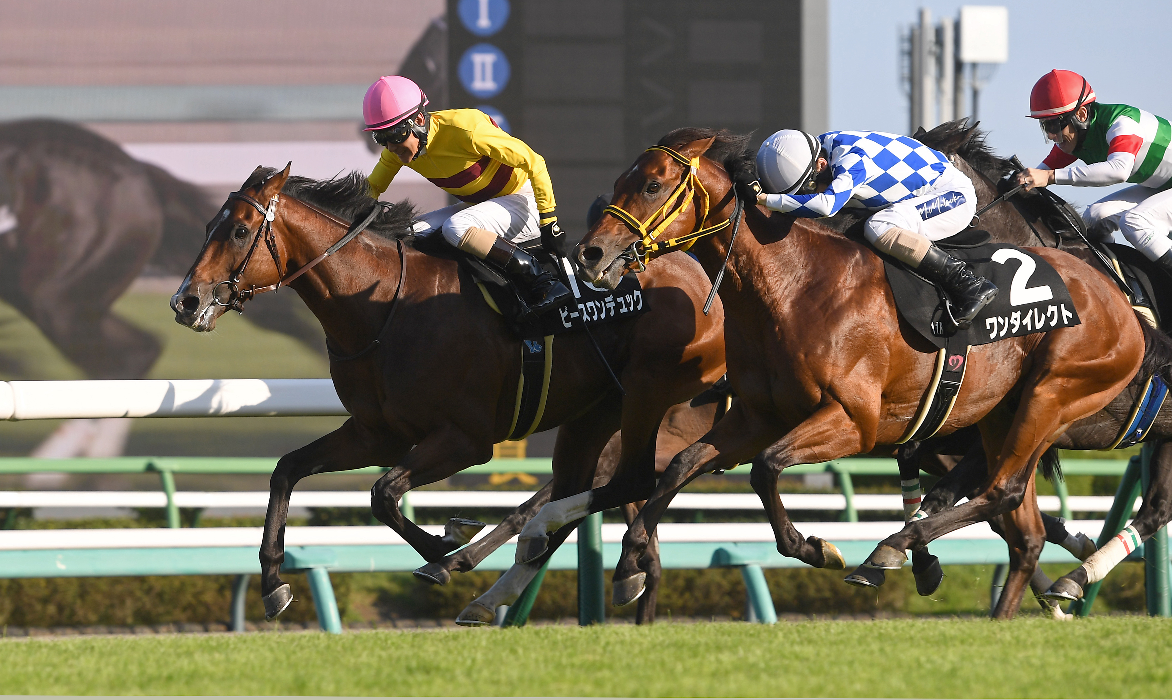 東西記者 今週の狙い馬】素質は重賞級のピースワンデュックby増本隆一