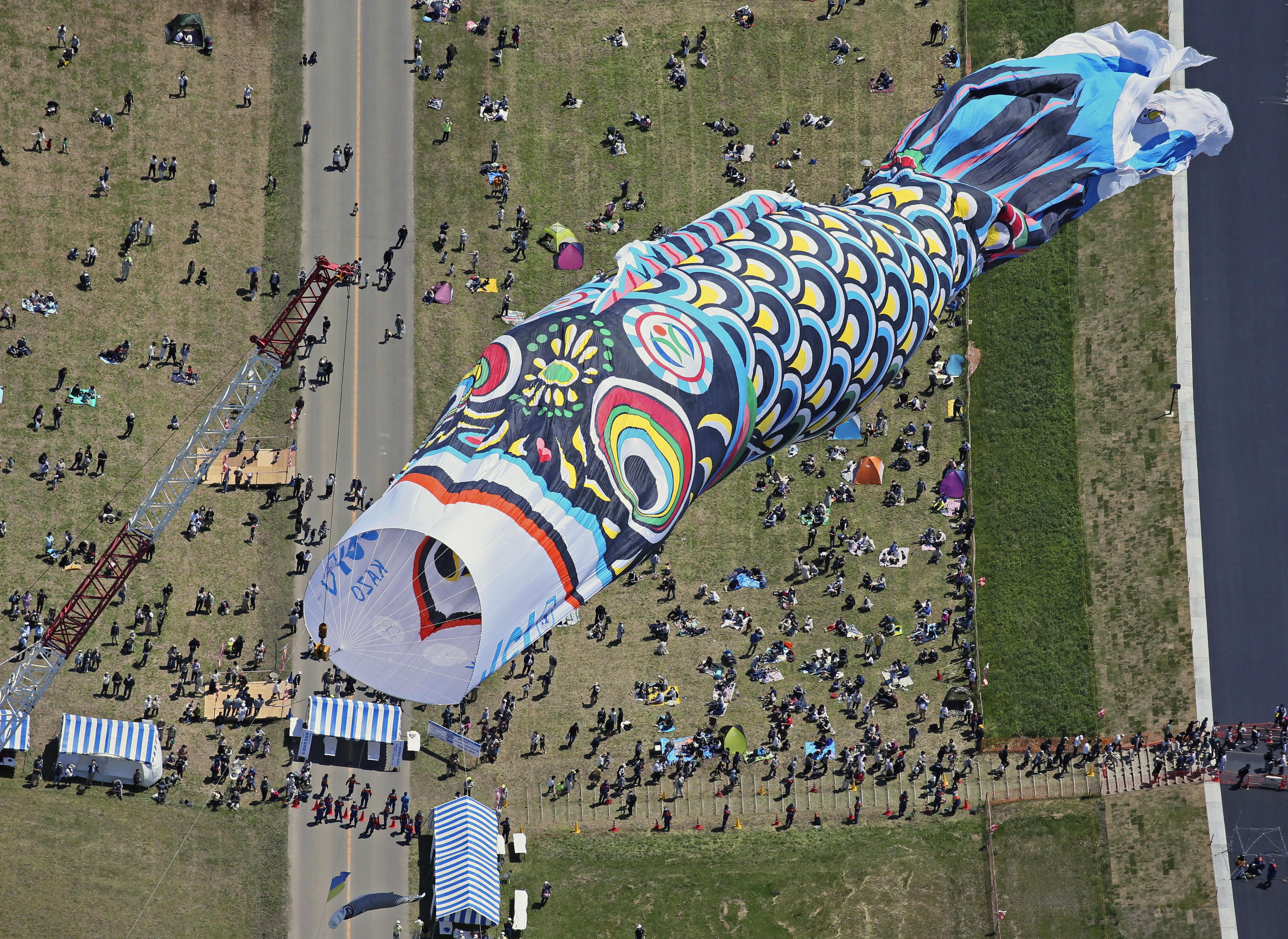 全長100メートル ジャンボこいのぼり晴天に泳ぐ - 産経ニュース