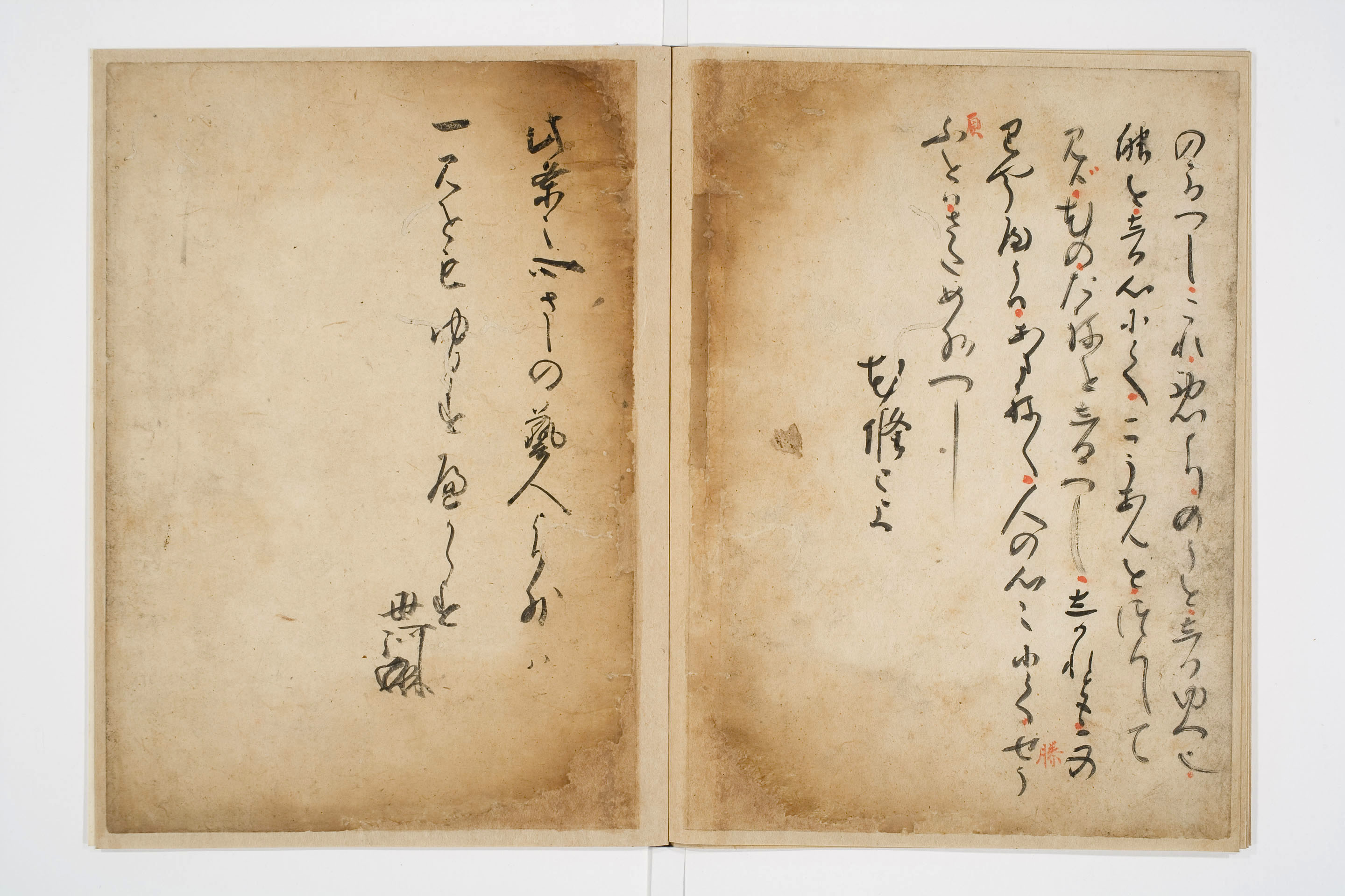 風姿花伝」がユネスコ記憶遺産の新規申請案件に 観世清和「今も生き