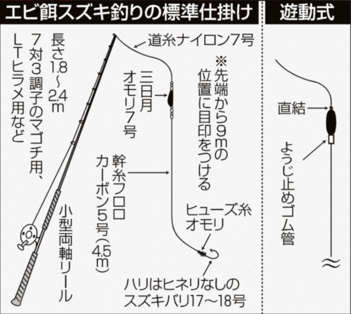 スズキ快進撃 伝統釣法エビ餌 手バネ竿でもリール竿でも 東京湾 富津沖 1 2ページ サンスポ