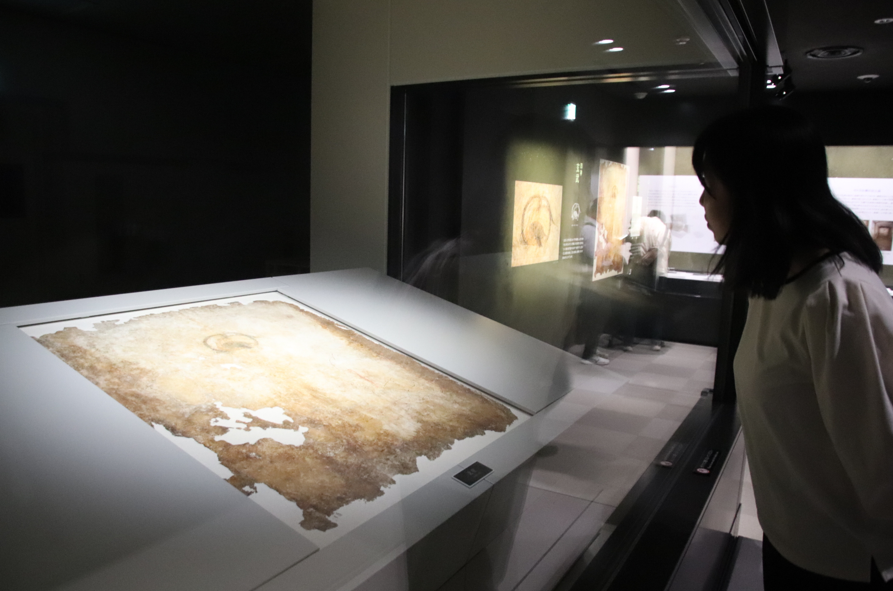 発見40年 キトラ「玄武」公開 高松塚壁画も 14日から - 産経ニュース