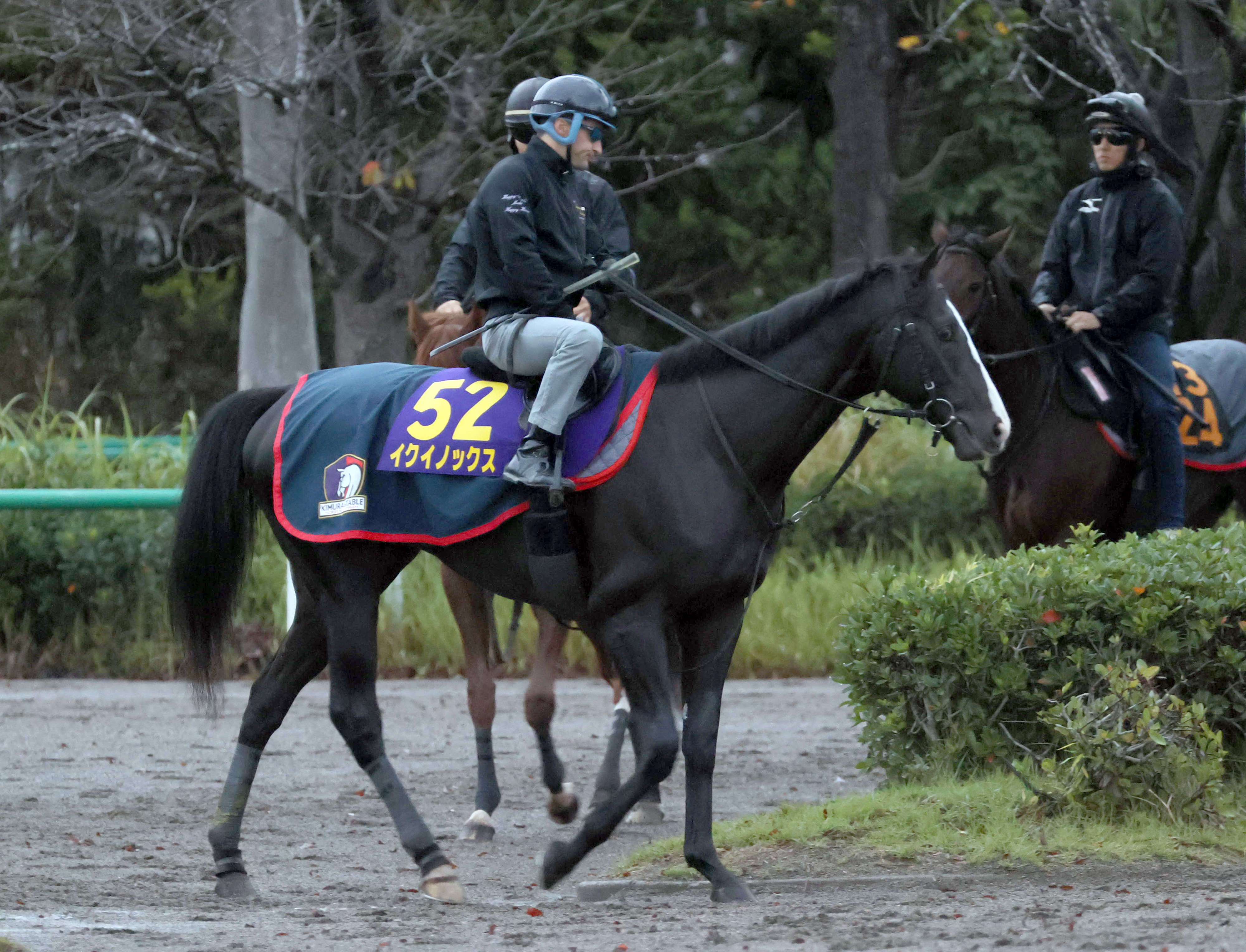 天皇賞 秋 イクイノックスが待望のｇ 獲りへ 木村師 この馬は天才だから サンスポzbat