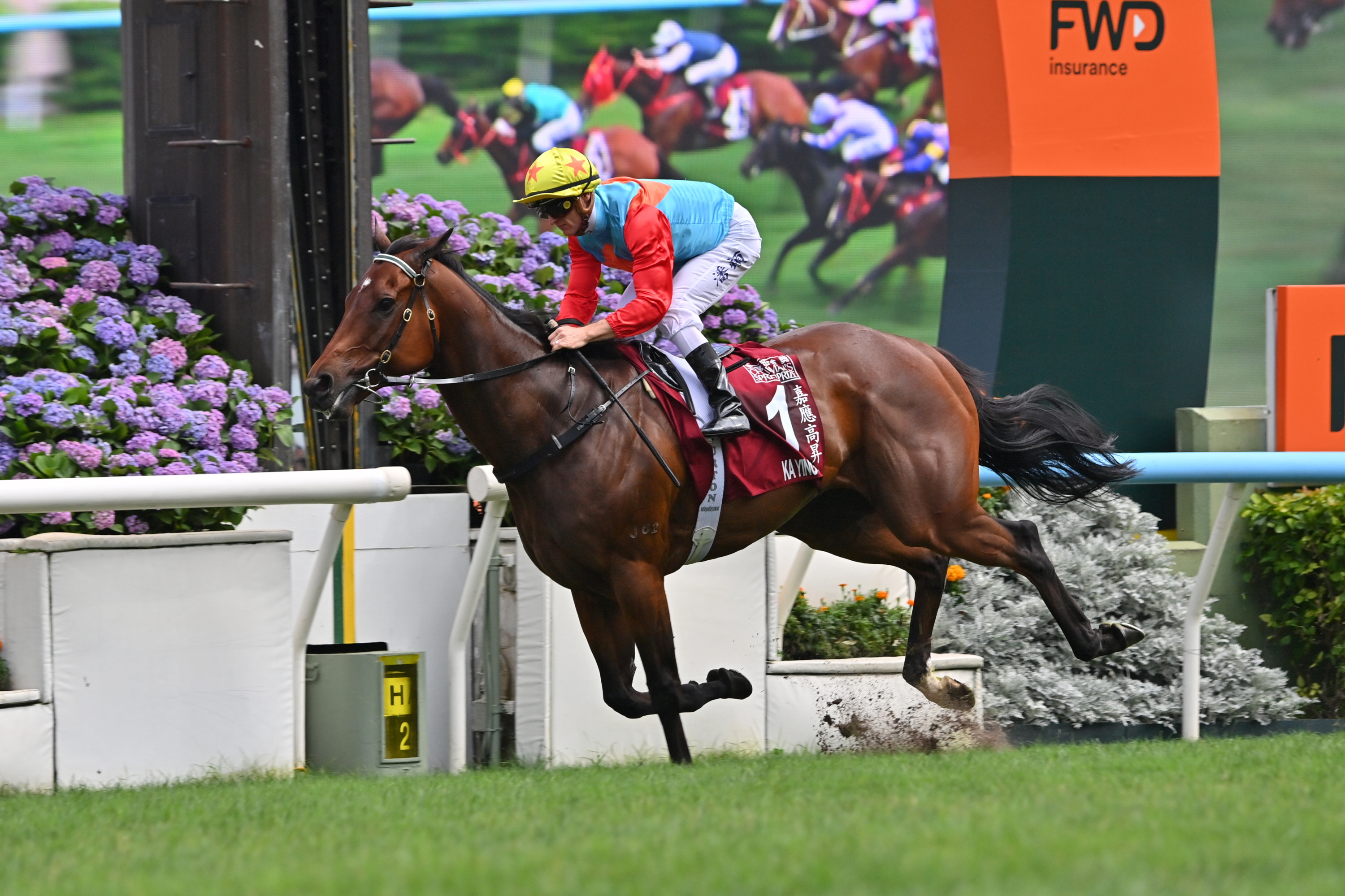 遥かなる世界の競馬地図】ロンジンワールドベストホースランキングの