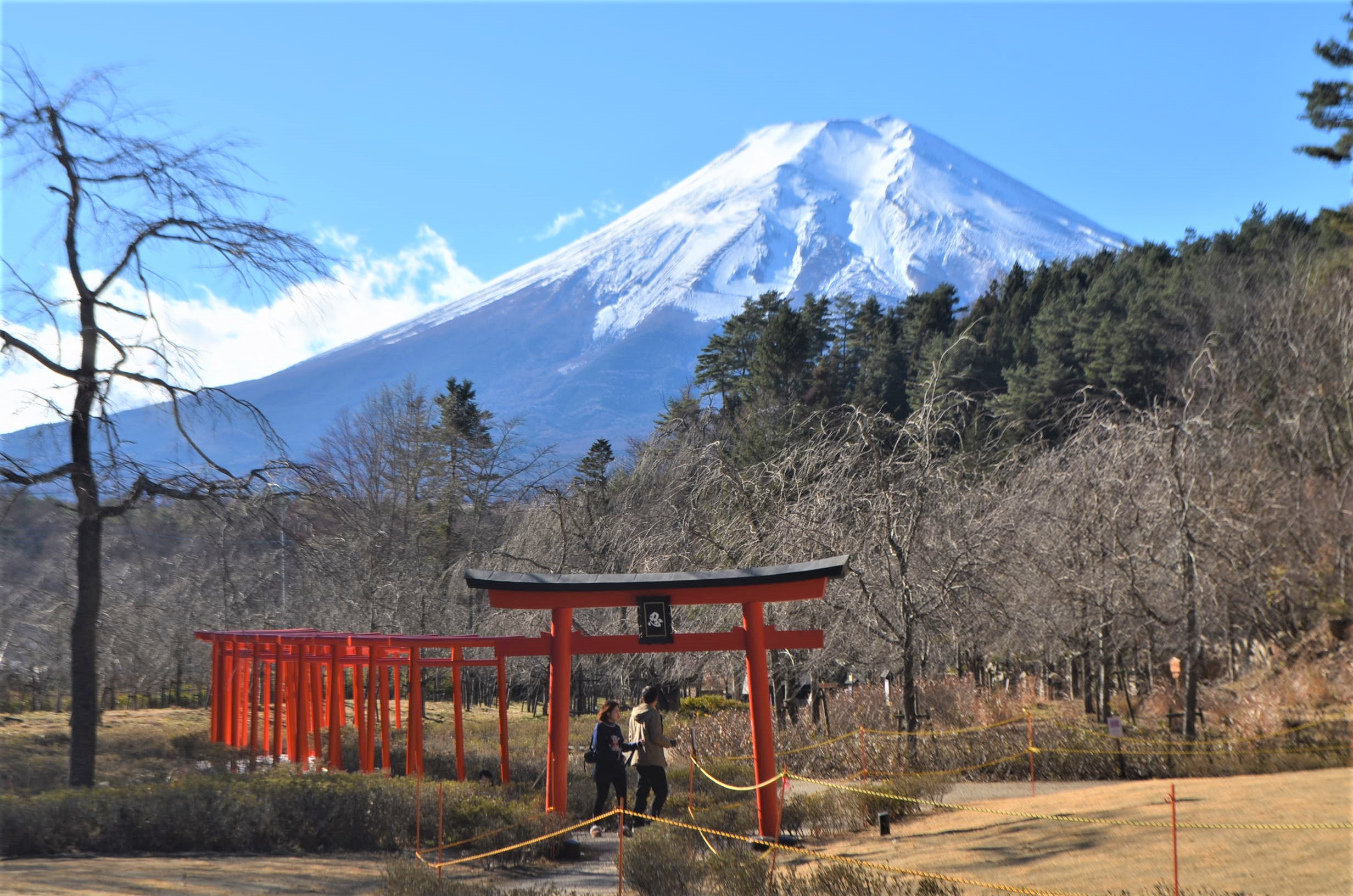 富士山絶景、訪日客需要取り込みへ撮影スポット開設続く 〝映え〟求め