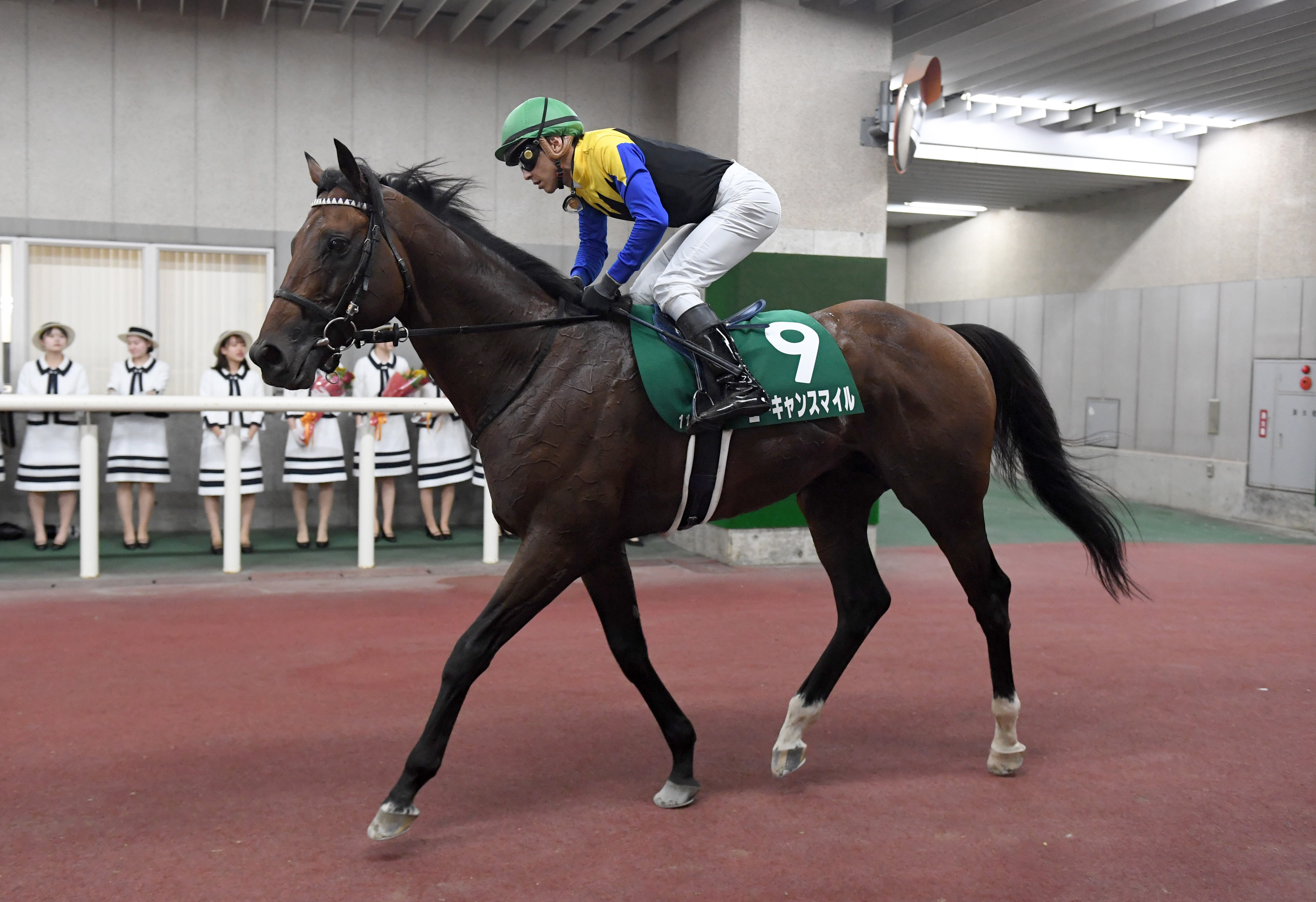 【新潟記念】８歳馬ユーキャンスマイルが衰え知らずの２着 石橋脩 ...