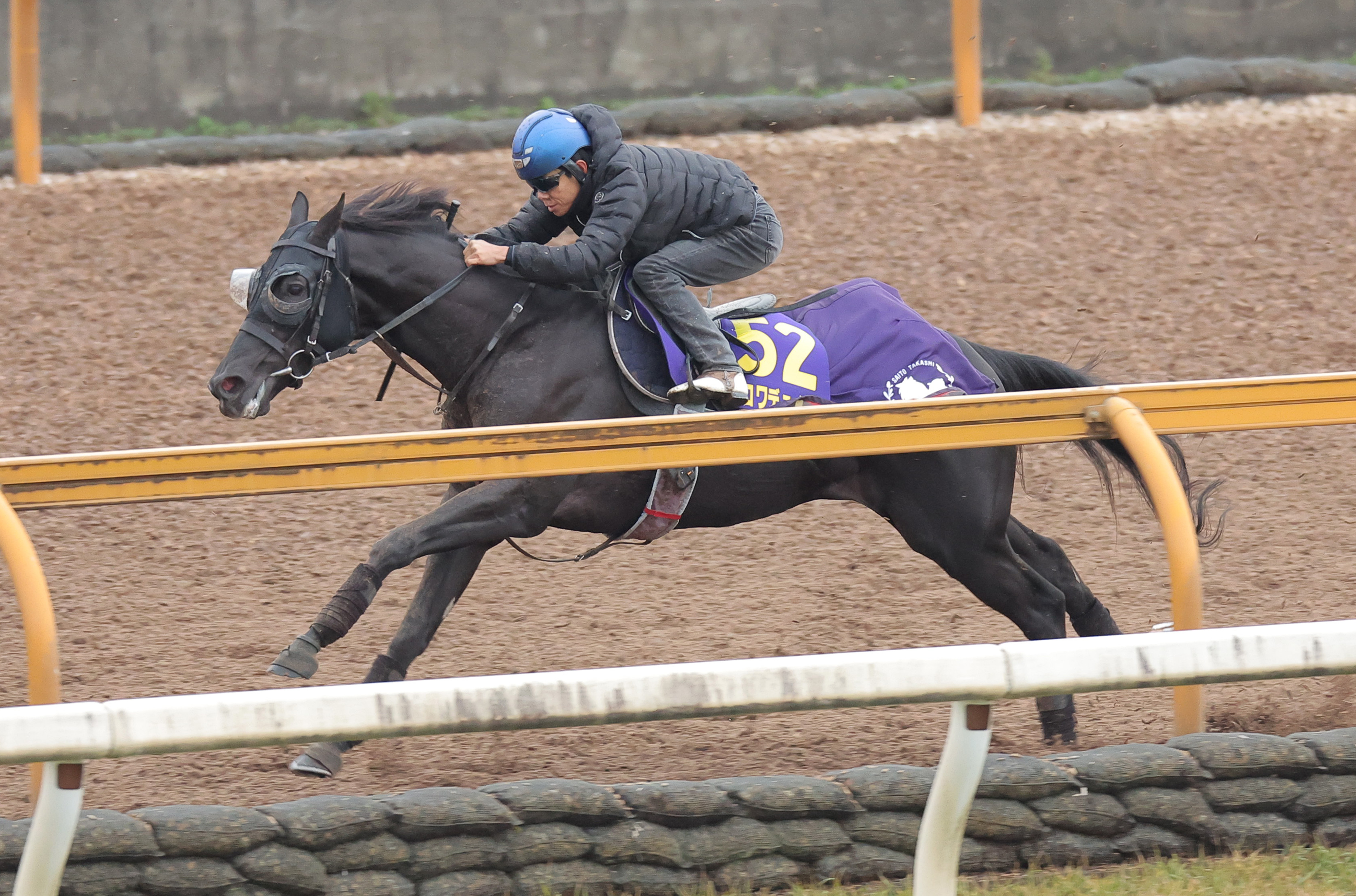 ジャパンC 1週前追い切り】クロワデュノールは北村友一騎手を背に3頭