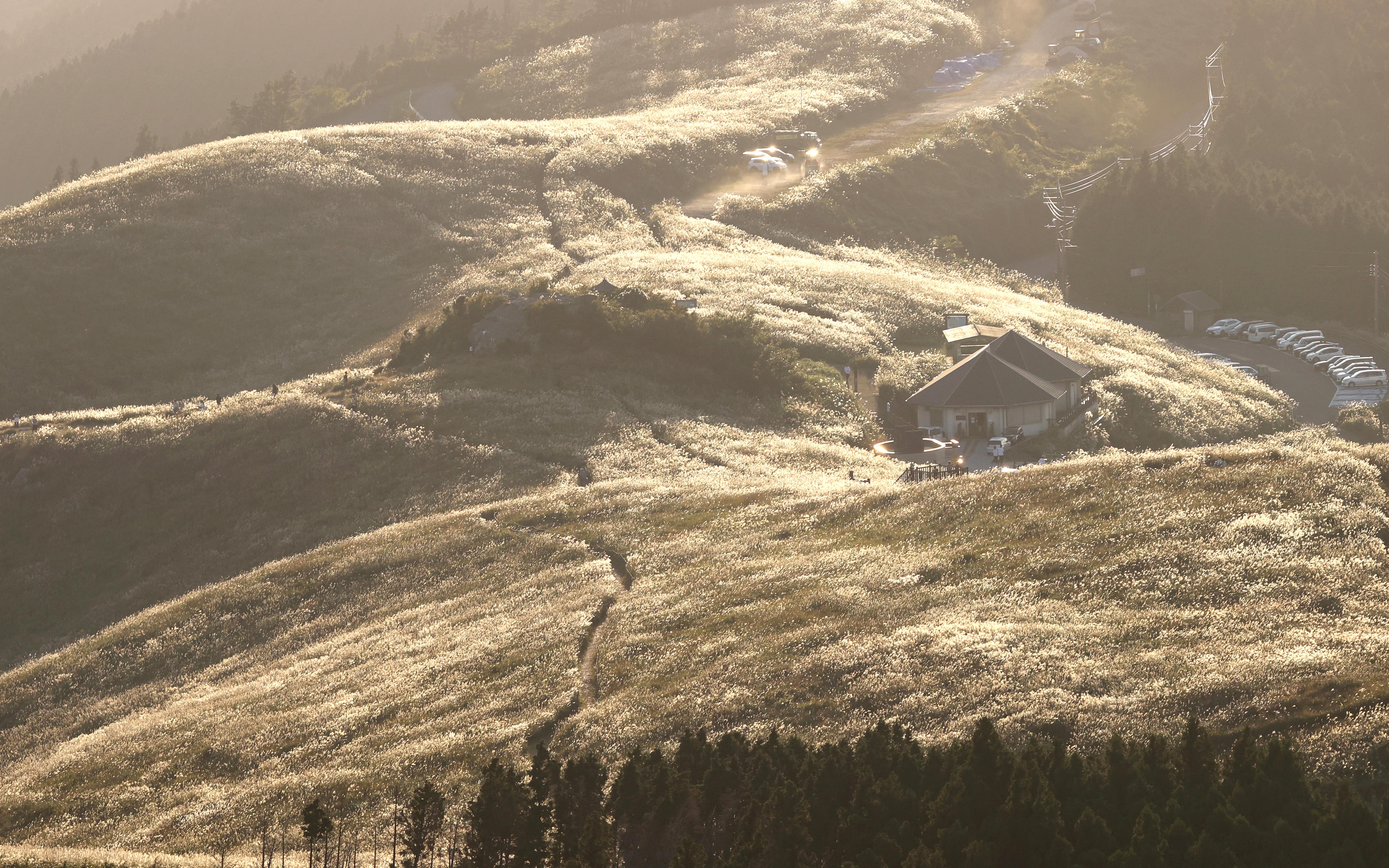 涼しい風に揺れるススキ 和歌山 生石高原 産経ニュース 涼しい風に揺れるススキ 和歌山 生石高原 産経ニュース