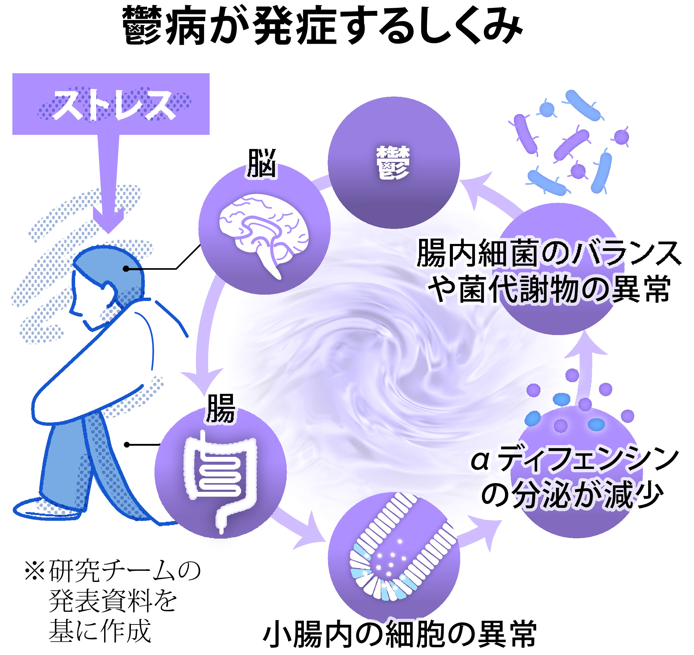 【びっくりサイエンス】鬱病発症と腸内環境の乱れの深い関係 産経ニュース 【びっくりサイエンス】鬱病発症と腸内環境の乱れの深い関係 産経ニュース