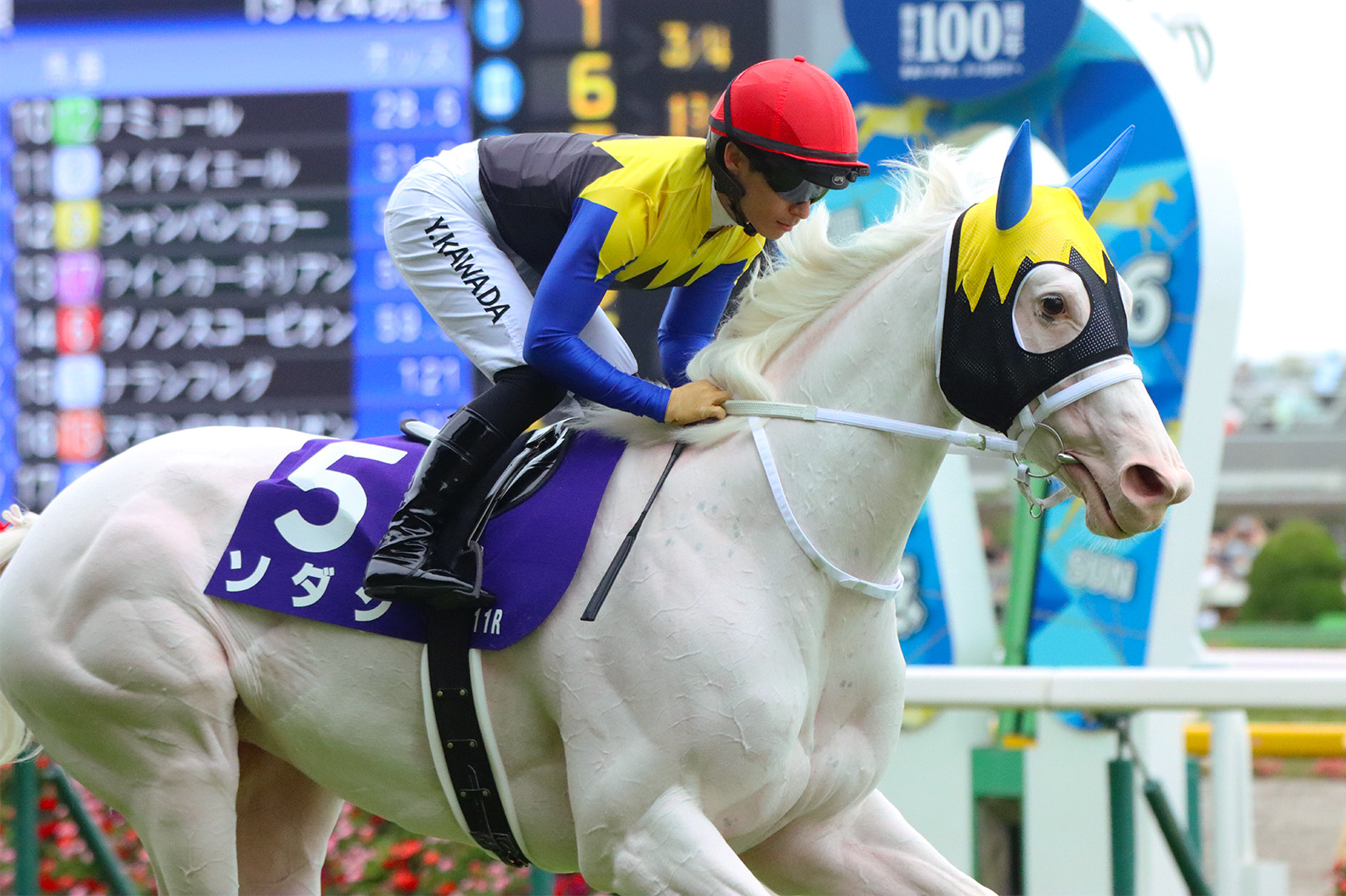マルタ騎士騎馬像　新品　未開封 未開封 得る 新品 マルタ騎士騎馬像