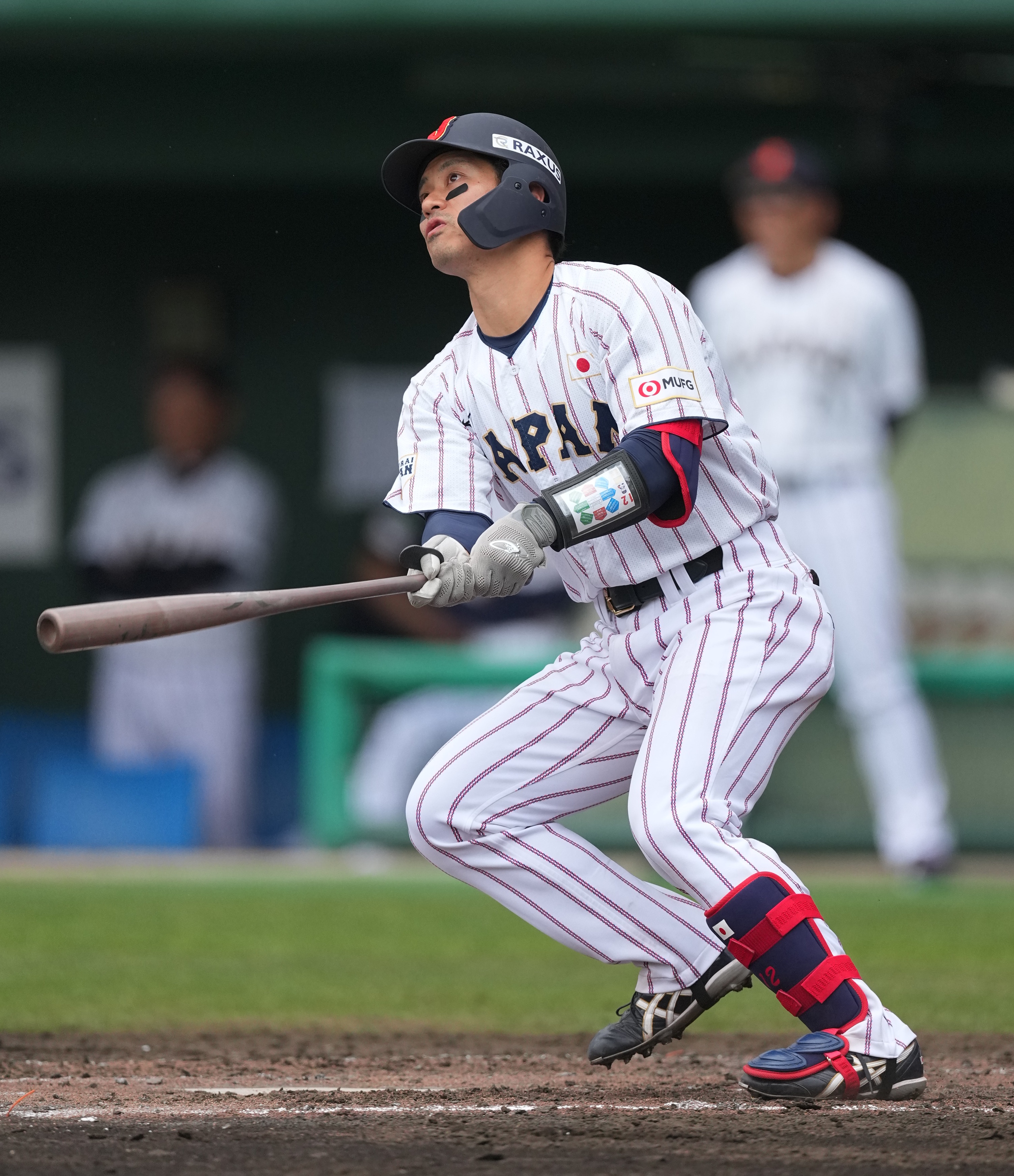 侍ジャパンWBC 侍ジャパン 阪神タイガース坂本誠志郎選手直筆サイン