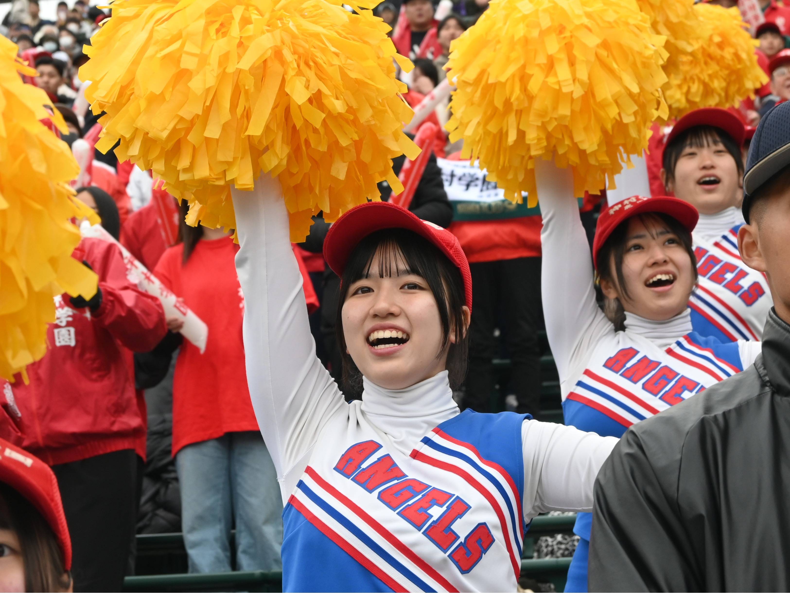 チア部員から記者席へ 母校出場で2度目の甲子園、見えた「全く違う景色