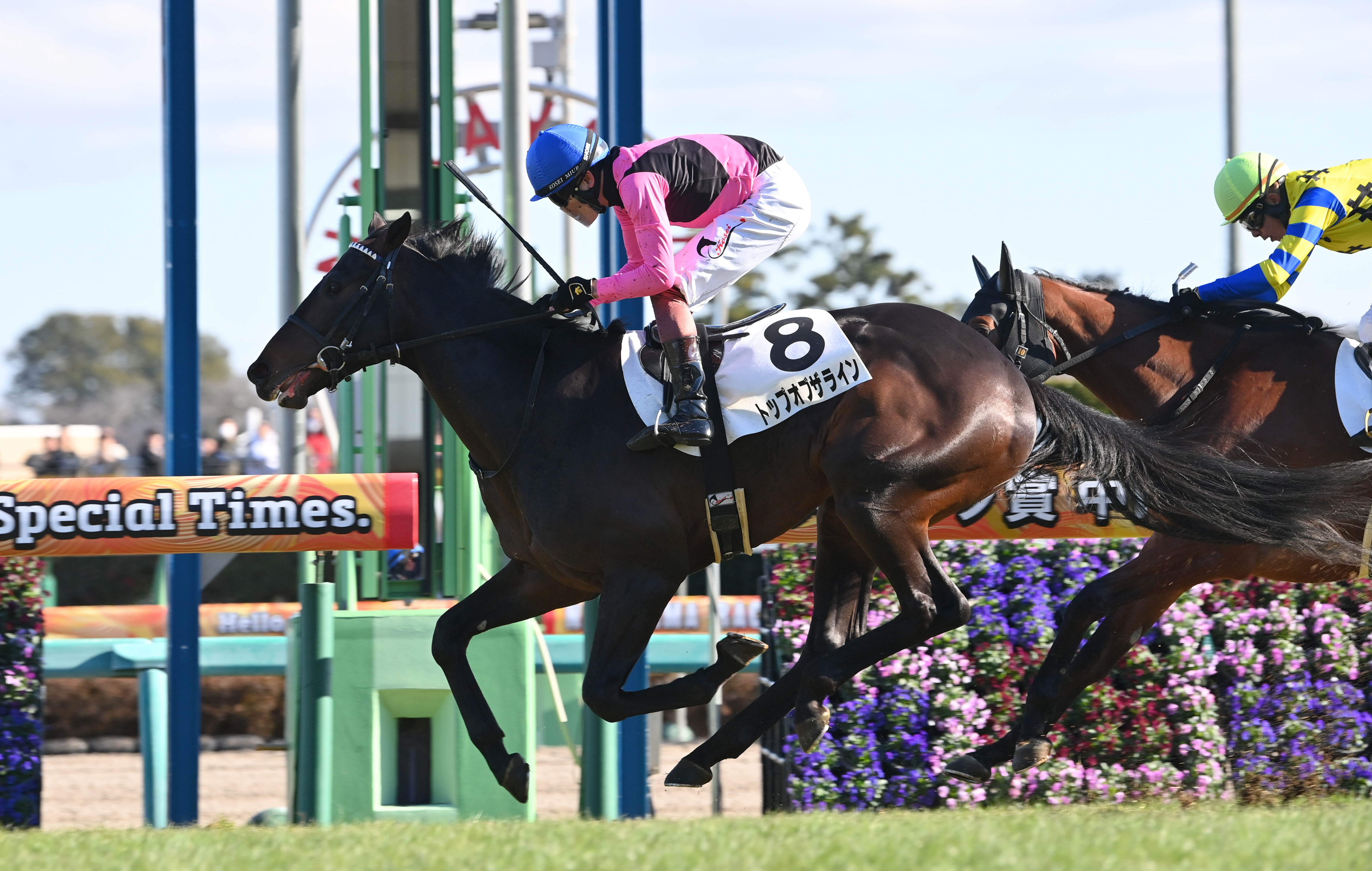 3歳新馬・中山6R】7番人気トップオブザラインが抜け出しV 3連単209万