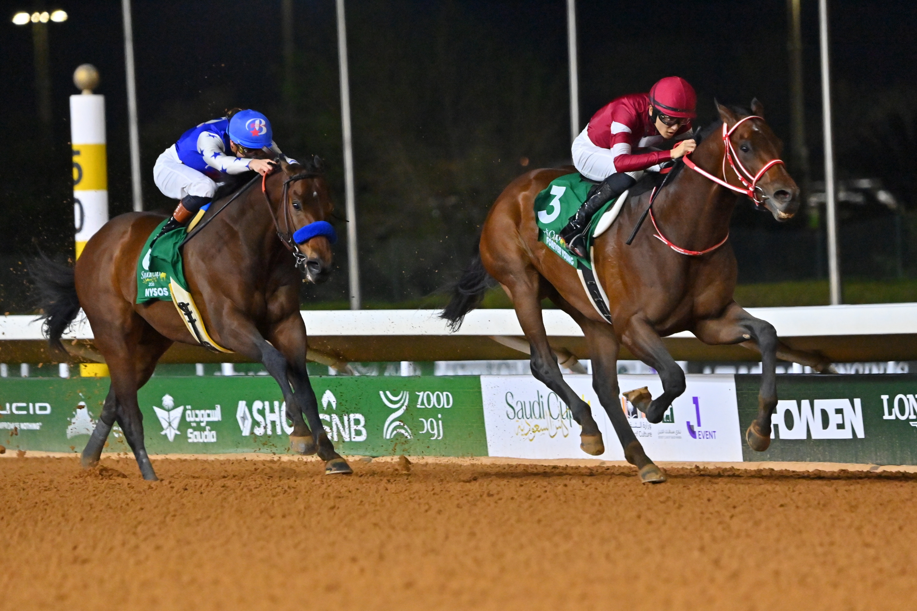 【非売品】クールモア・スタッド (海外競馬・種牡馬) 新種牡馬ドラクロワ、シャトル種牡馬としてクールモア・オーストラリア