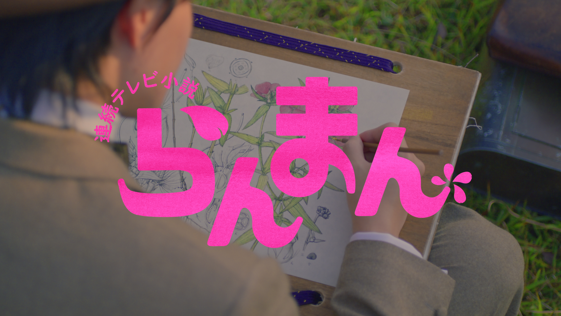 NHK朝ドラ「らんまん」タイトルバック刷新！寿恵子を加えた