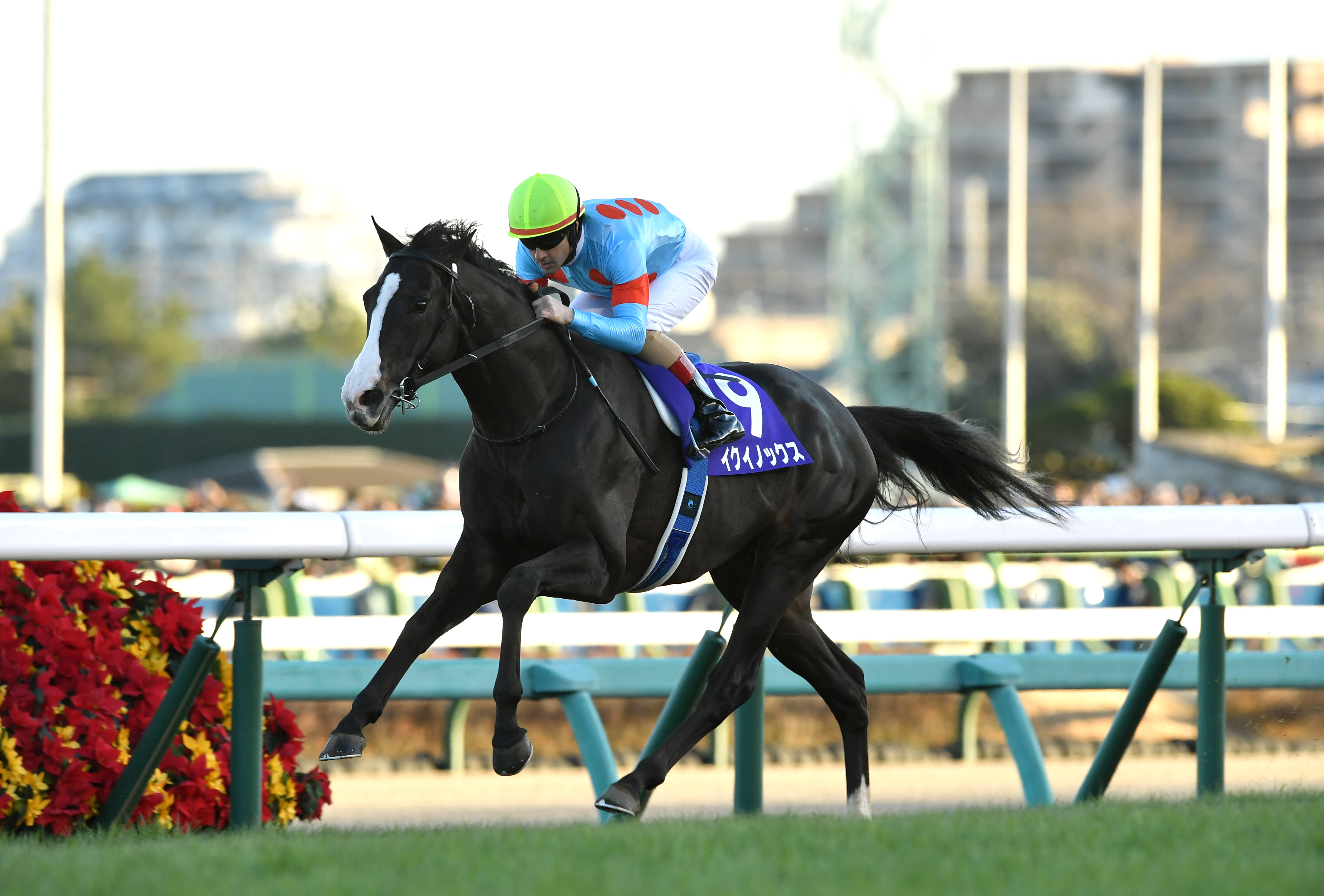 有馬記念】イクイノックスが圧巻の末脚でレース史上最少キャリアＶ