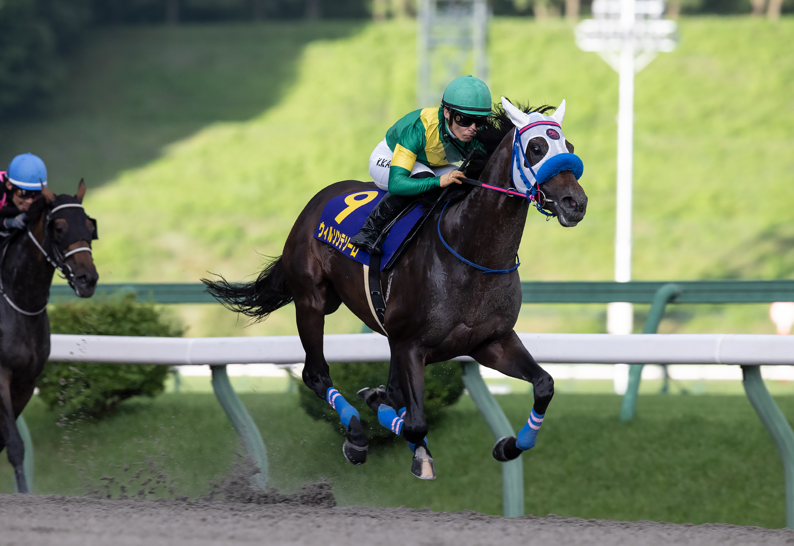 交流重賞３連勝のウィルソンテソーロは菅原明良騎手との新コンビ ...