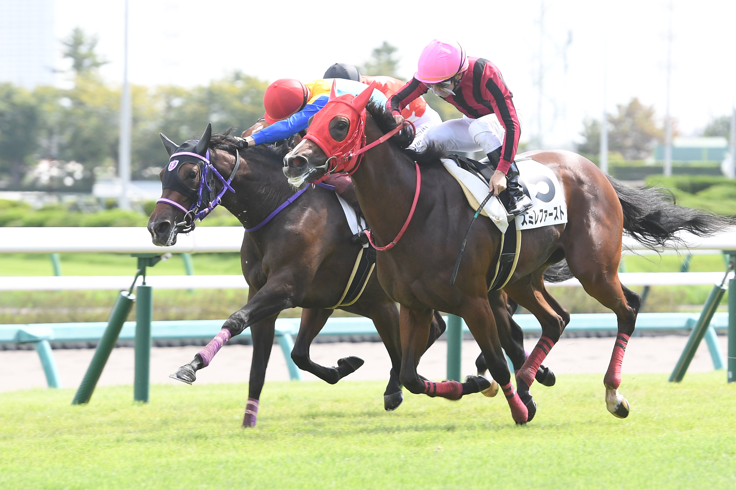 【２歳新馬・中山５Ｒ】ロンドンアームズが接戦を制しデビュー ...