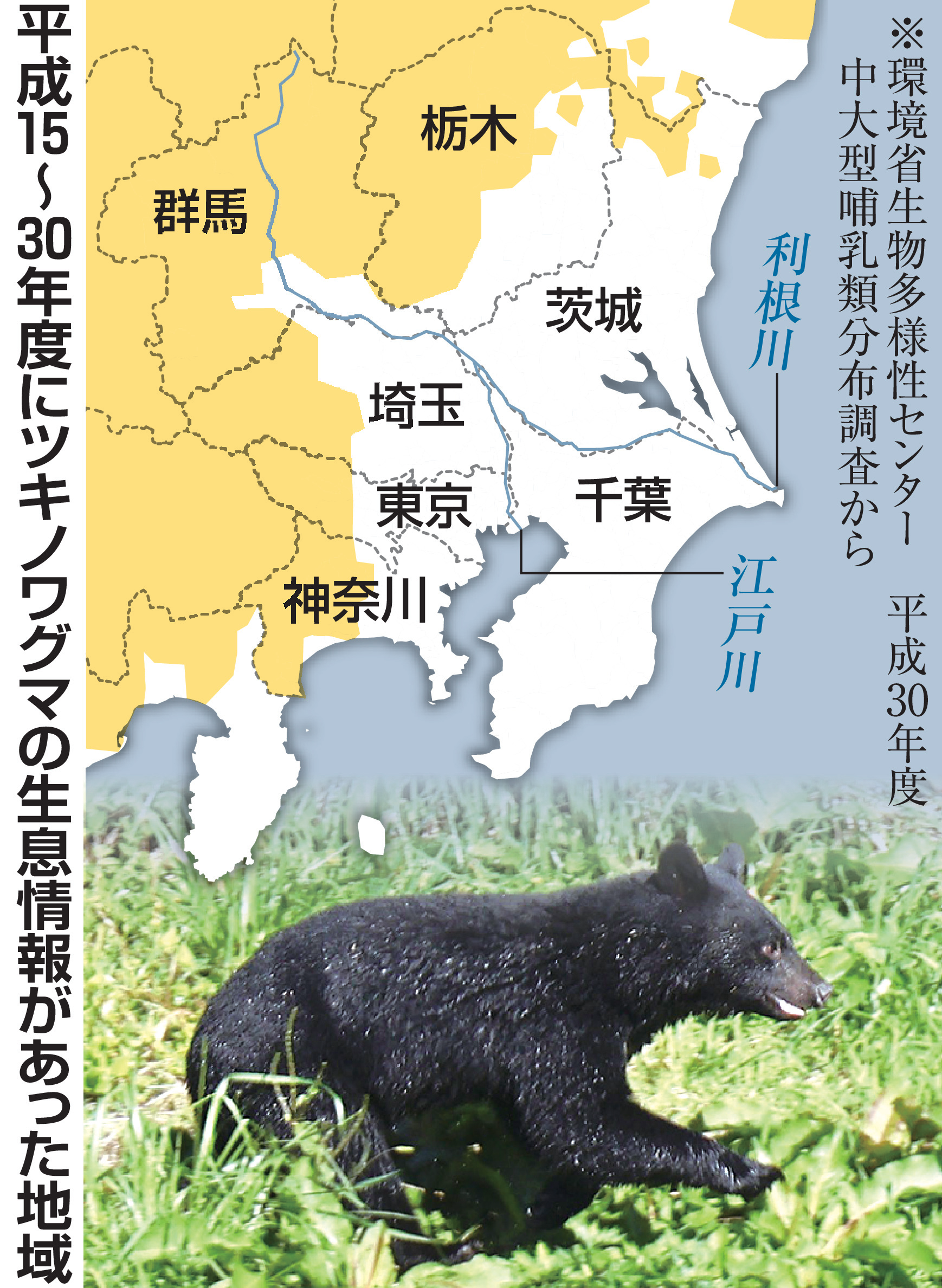 当時のメディア報道・掲載写真