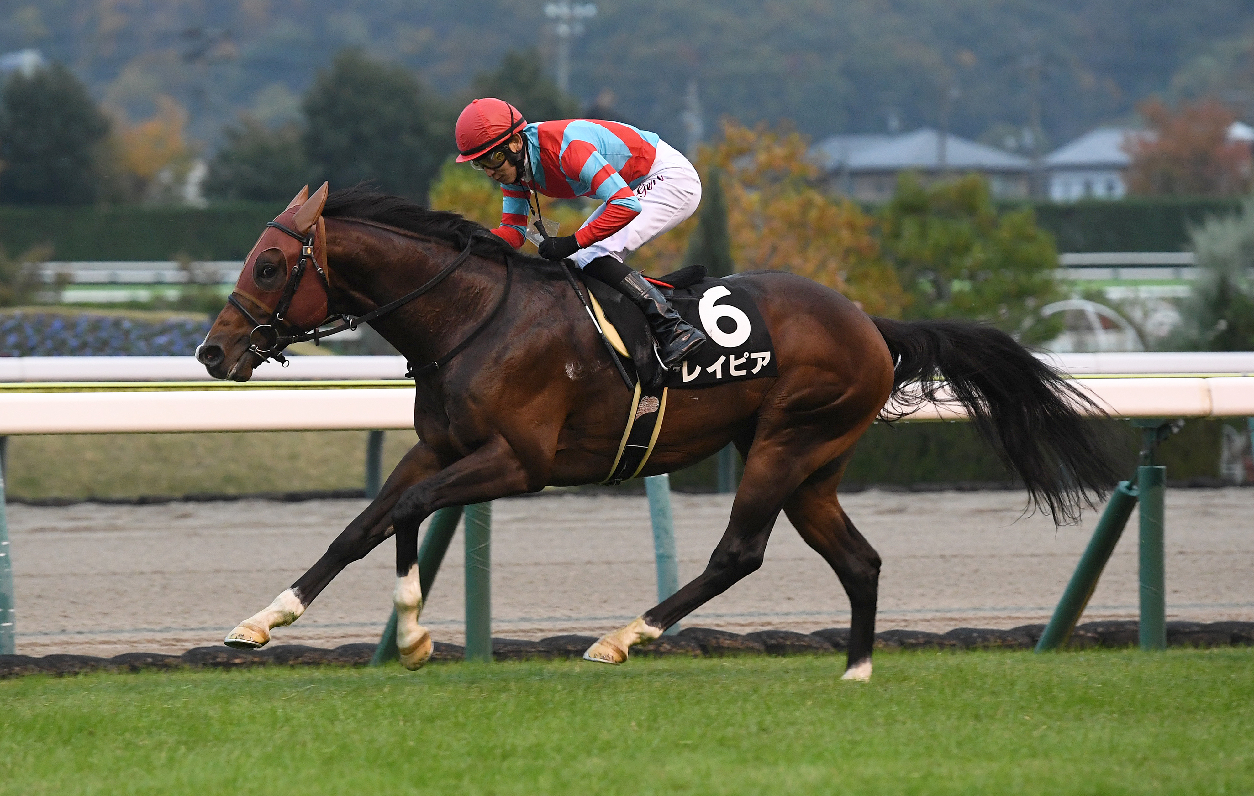 4歳以上次走報】京阪杯4着のレイピアはシルクロードSへ - サンスポZBAT!