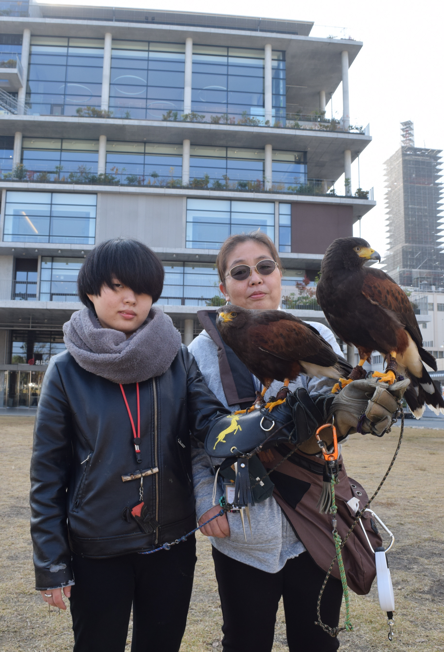 ペットの「タカ」が害鳥対策で活躍、大阪・茨木の人気施設や主要駅で糞
