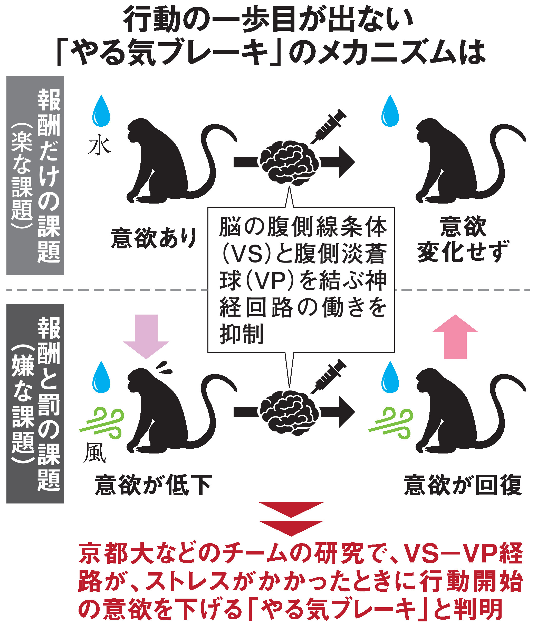 Mejores videos pornográfico