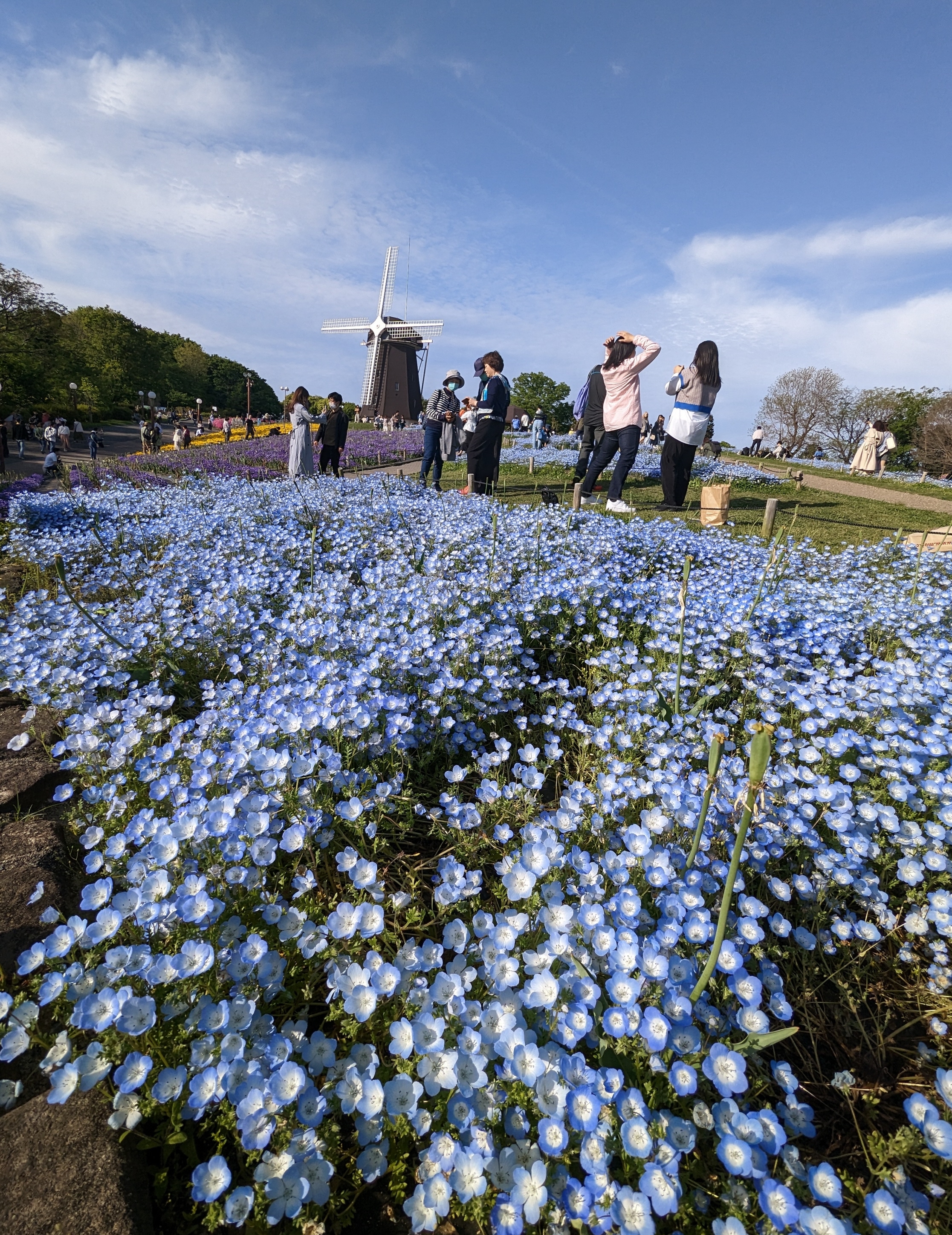 花スケッチ GW特別編】花咲く場所に誘われ GWおすすめの関西名所