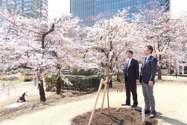 自衛隊余話 戦後日本を見守った 旧防衛庁の桜 今も六本木に 大和魂守ることにもつながる 元陸将 感激 1 2ページ 産経ニュース