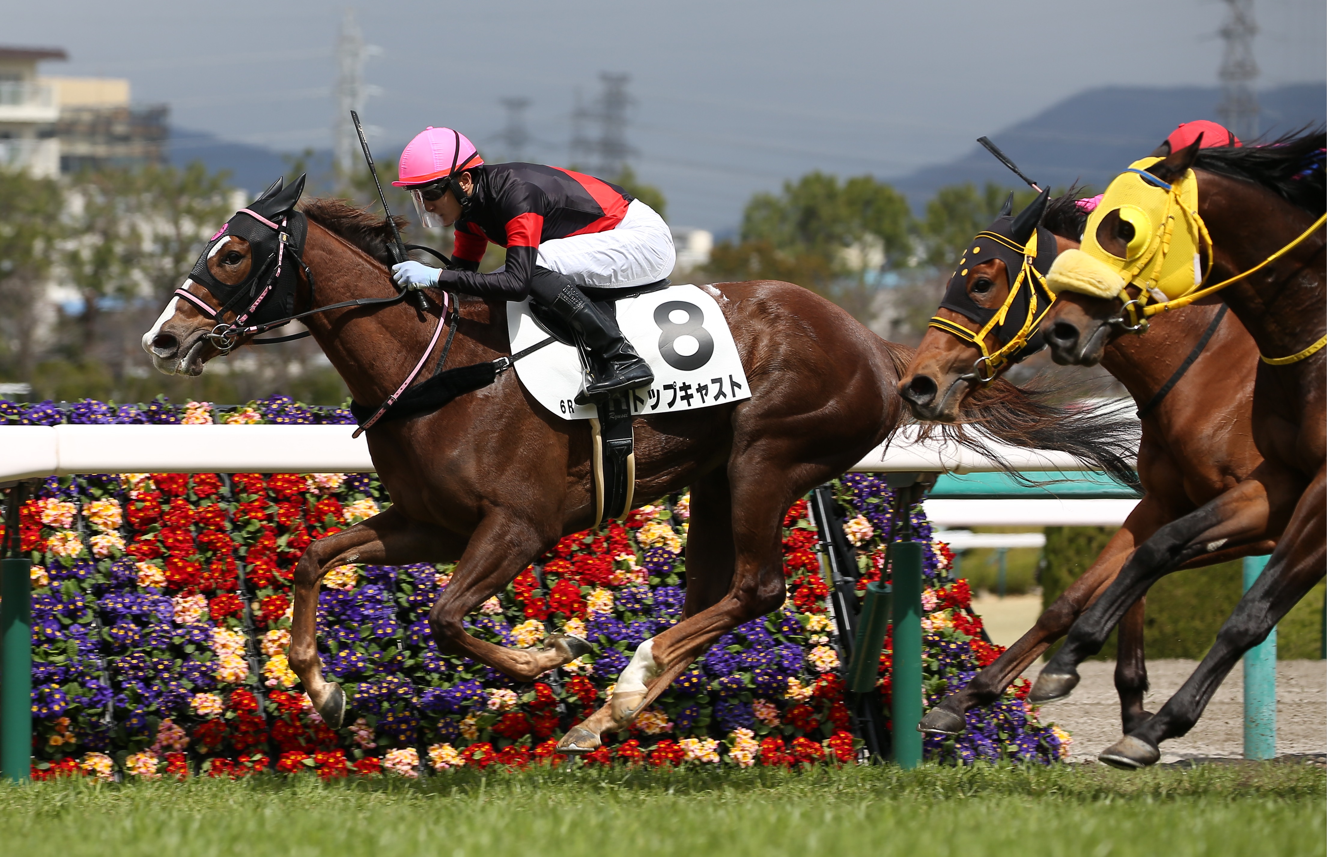 ヒロシのｄｅｅｐな話 内側が傷まない中京芝コース 今週も 内枠 先行馬 で簡単 サンスポzbat