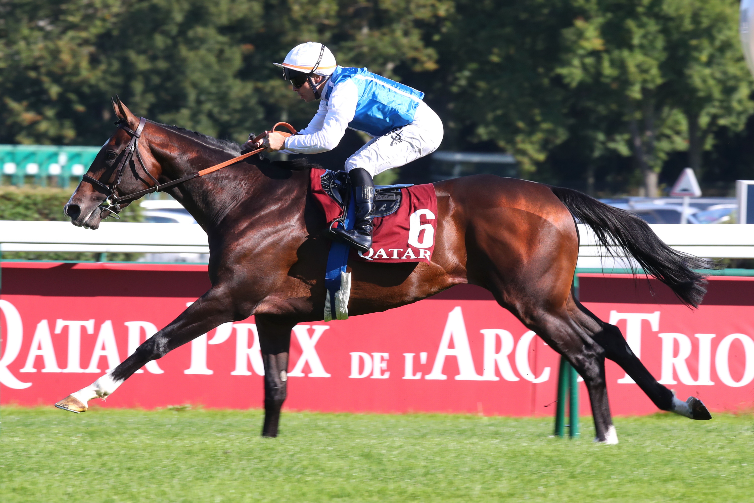 香港ヴァーズ】レース展望 - サンスポZBAT!