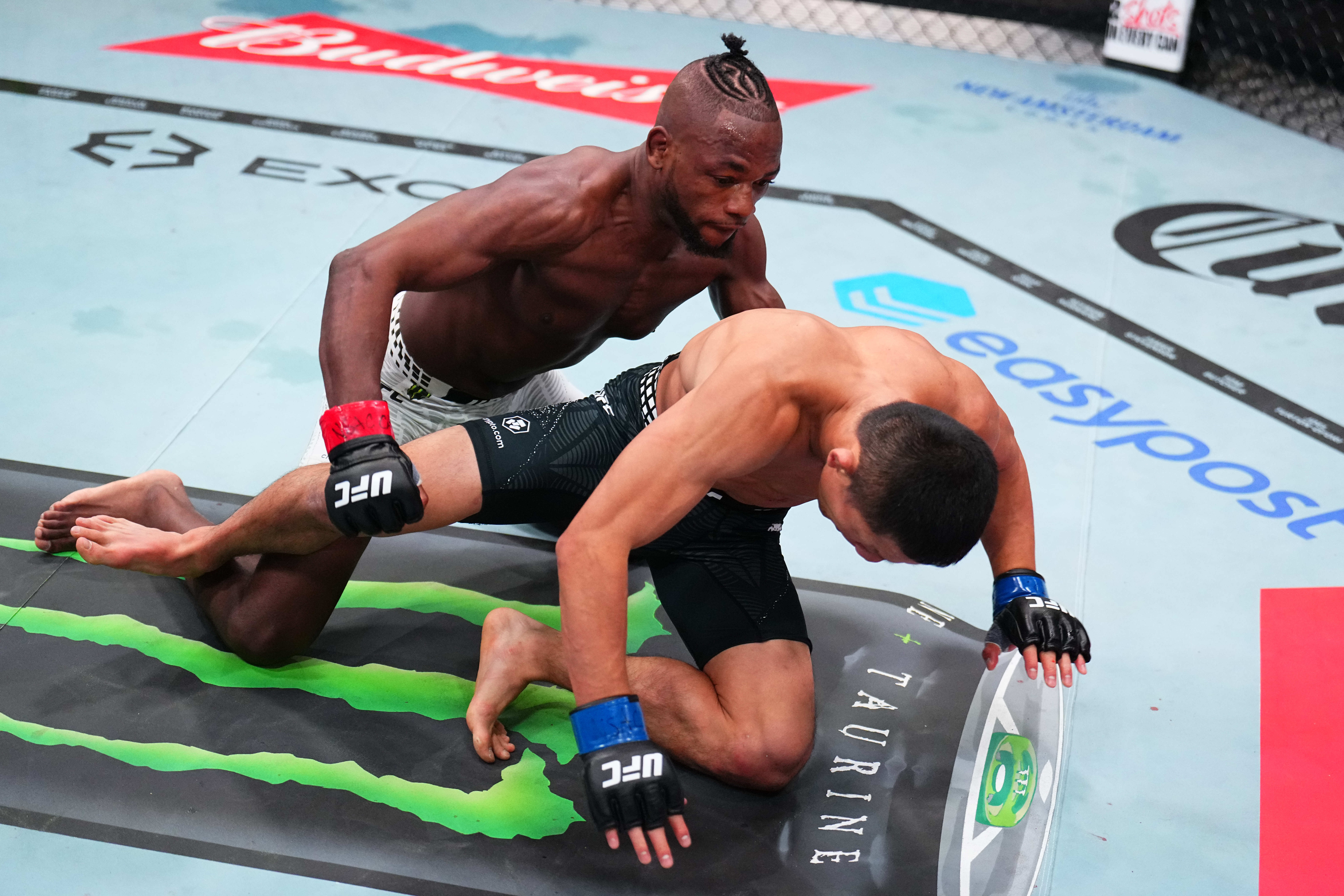 UFC】堀口恭司、マネル・ケイプの強打被弾し3回TKO負け…王座奪取に向け