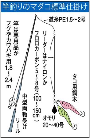 餌木マダコ 東京湾で今年もフィーバーの予感 コヅいたら３ ５秒ポーズを サンスポ