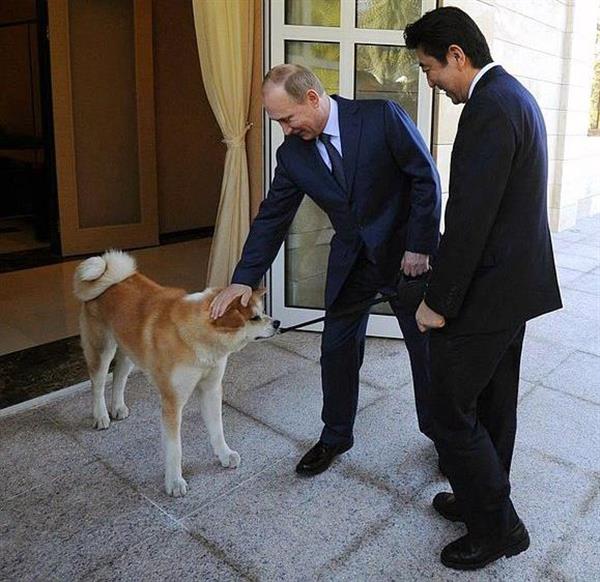 日露余話 プーチン氏の愛犬 ゆめ の父親は あの日露戦争の英雄と同じ名前 3 4ページ 産経ニュース