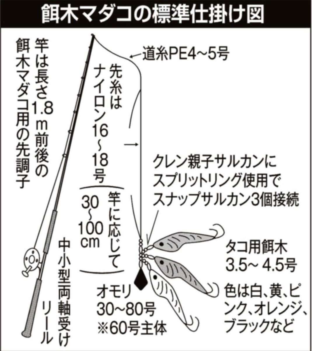 人気の餌木 常磐マダコ 異例の湧きの良さで連日２桁釣果 1 2ページ サンスポ