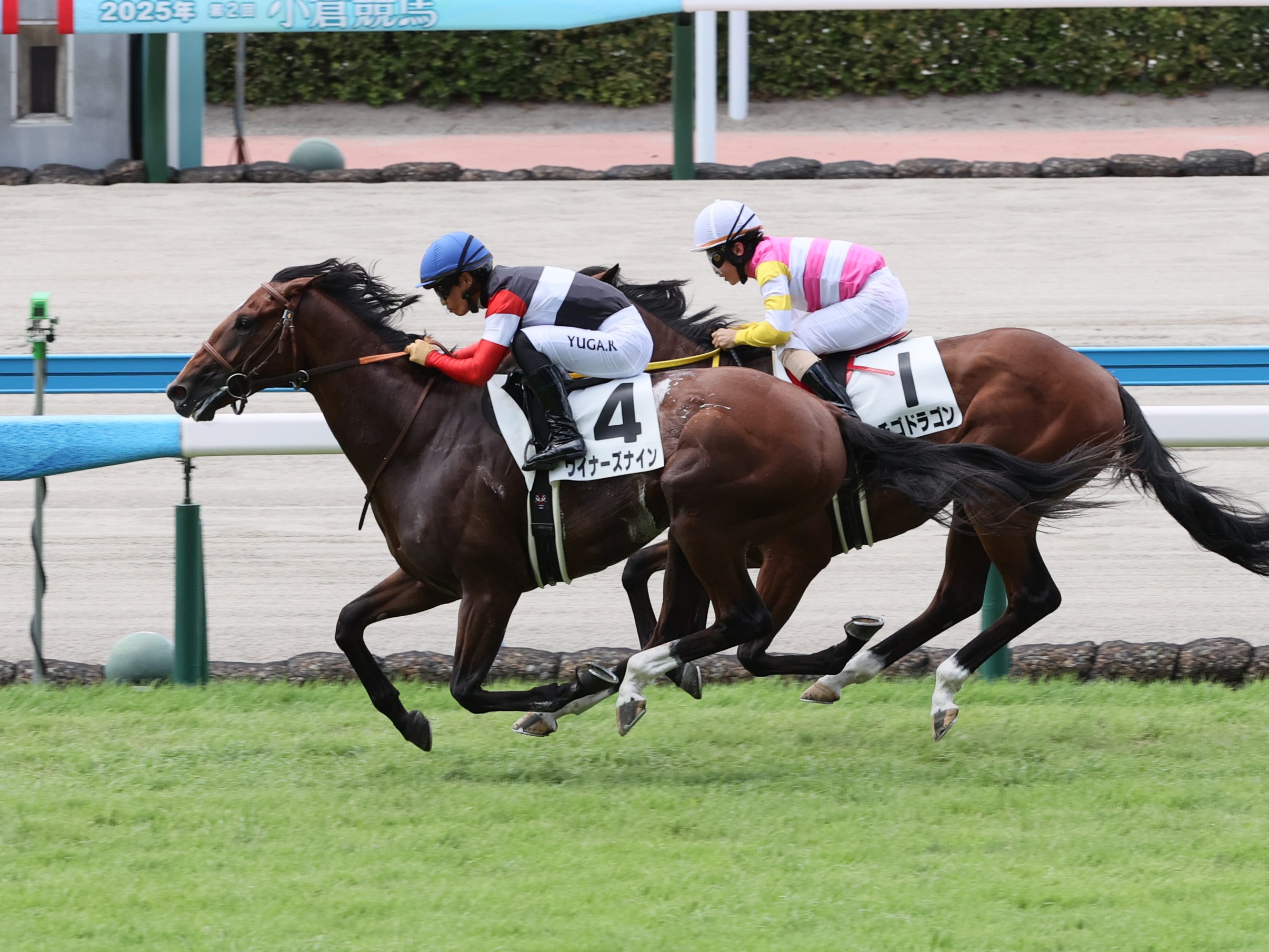2歳新馬・小倉5R】ウイナーズナインがゴール前で逃げ馬をクビ差