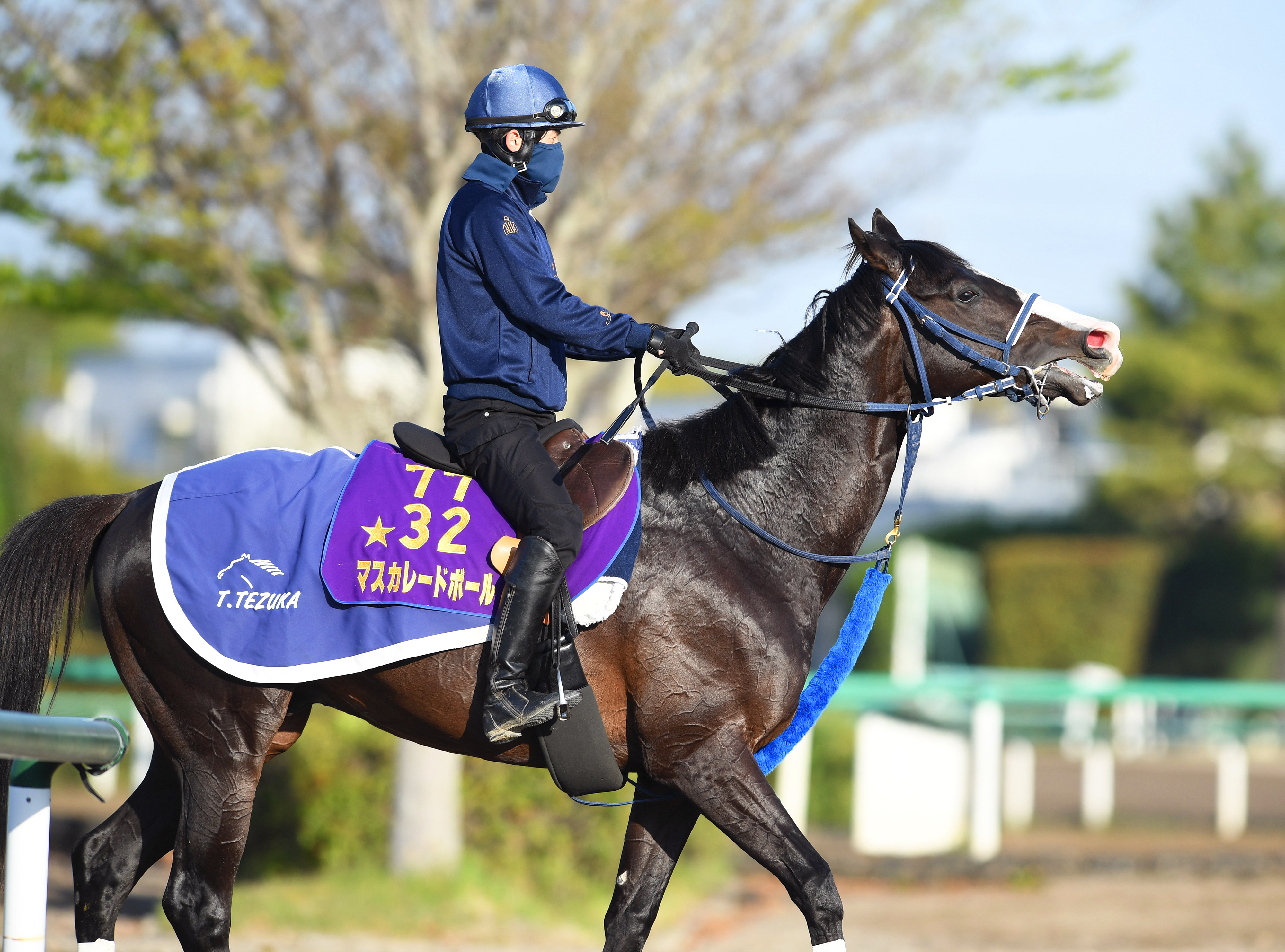 香港チャンピオンズデー・GⅠ3競走の選出馬をJRAが発表 - サンスポZBAT!