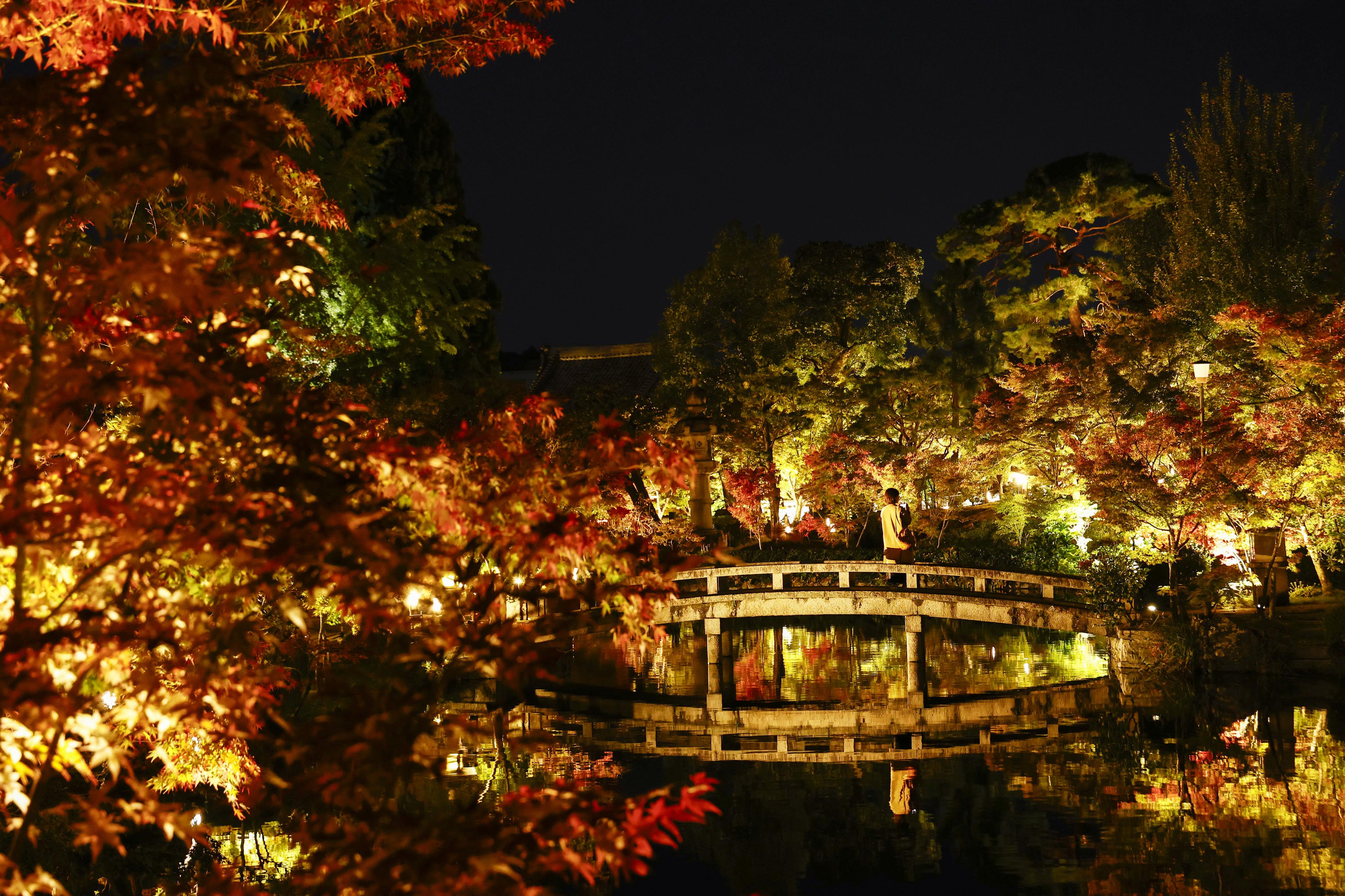 闇夜に赤く、紅葉鮮やかに 永観堂ライトアップ前に試験点灯 特別拝観は