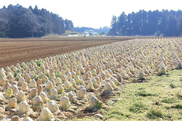 難読地名を行く 茨城編 三日月に由来 ウサギの伝承も 稲敷市月出里 すだち 1 2ページ 産経ニュース