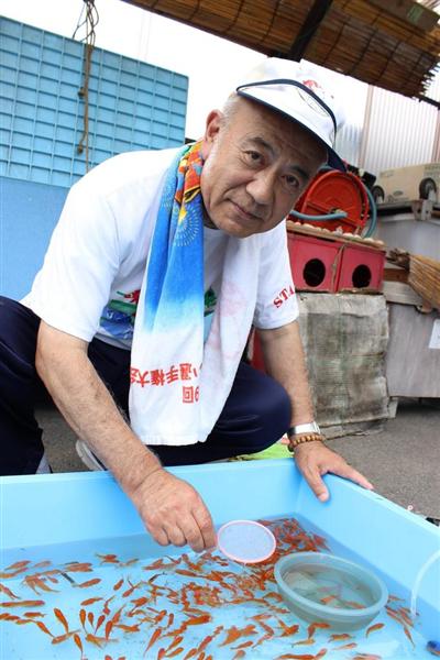 関西の議論 金魚すくいは ポイ で決まる 3分間で78匹の名人に学ぶ極意 1 4ページ 産経ニュース 関西の議論 金魚すくいは ポイ で決まる 3分間で78匹の名人に学ぶ極意 1 4ページ 産経ニュース