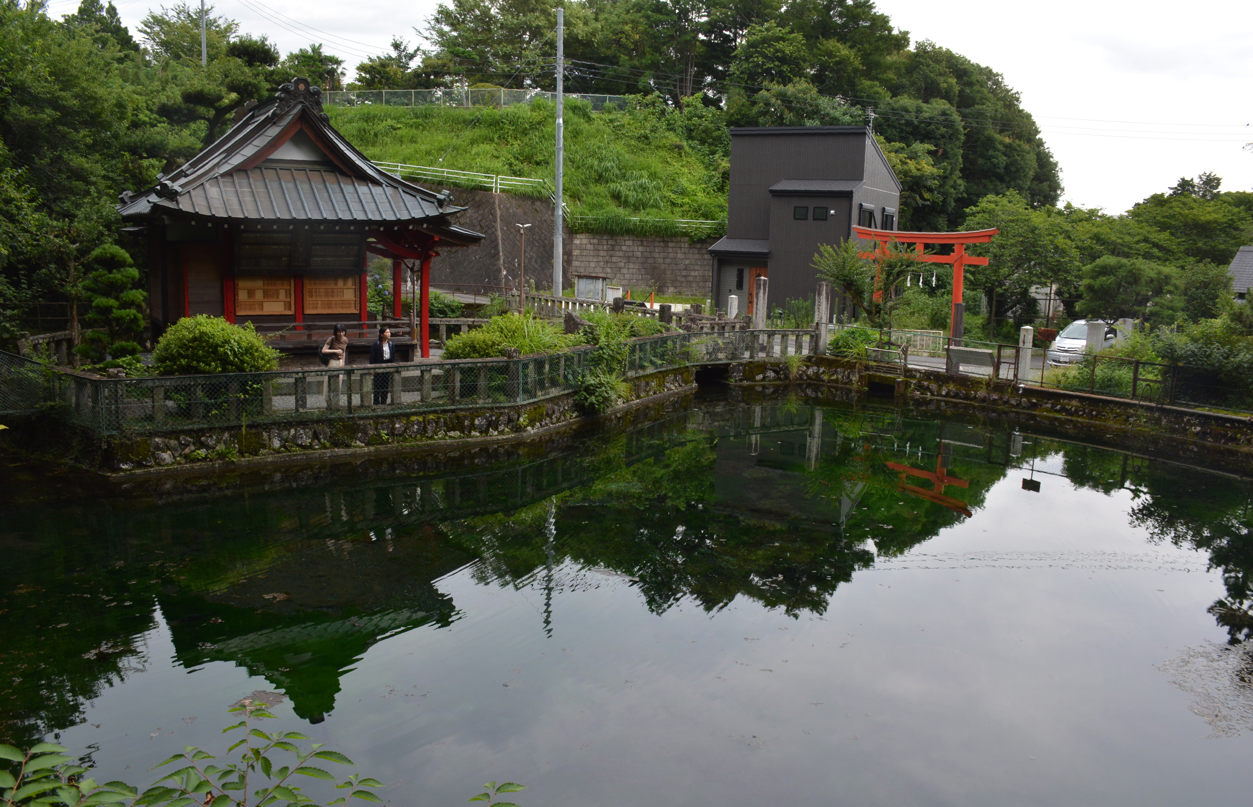 池静風清 TNH-3A4P 【 単3形 4本入り 】 ニッケル水素電池 東芝 充電式