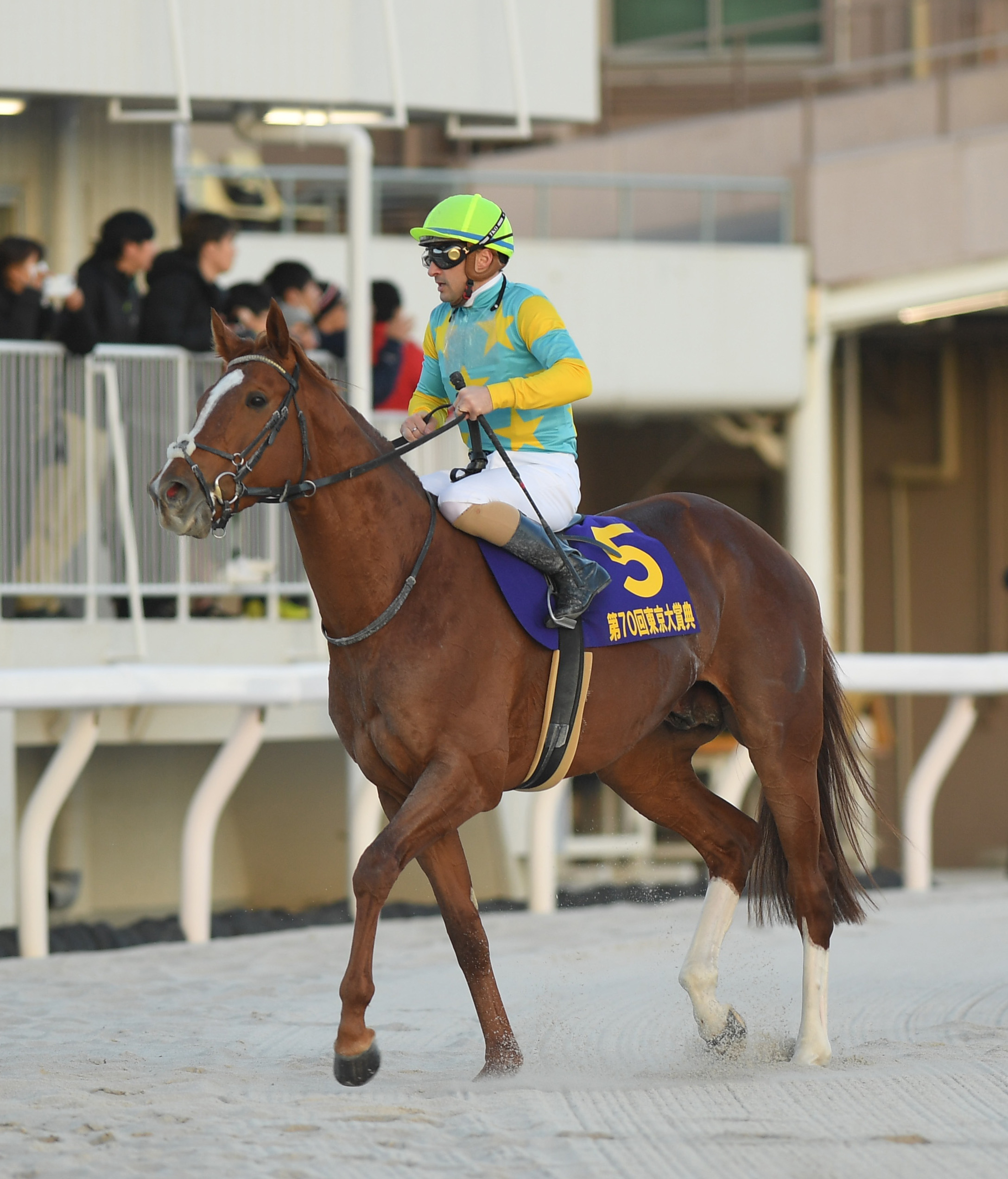 4歳以上次走報】デルマソトガケは松若風馬騎手とのコンビで佐賀記念へ
